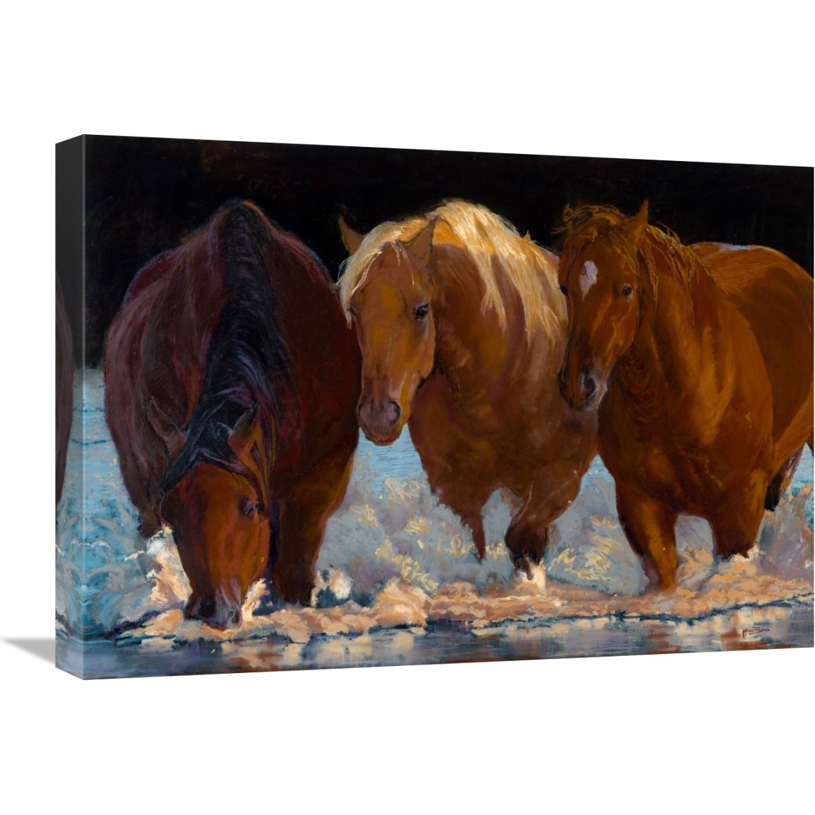 Shadows-Canvas Art-24&quotx18"