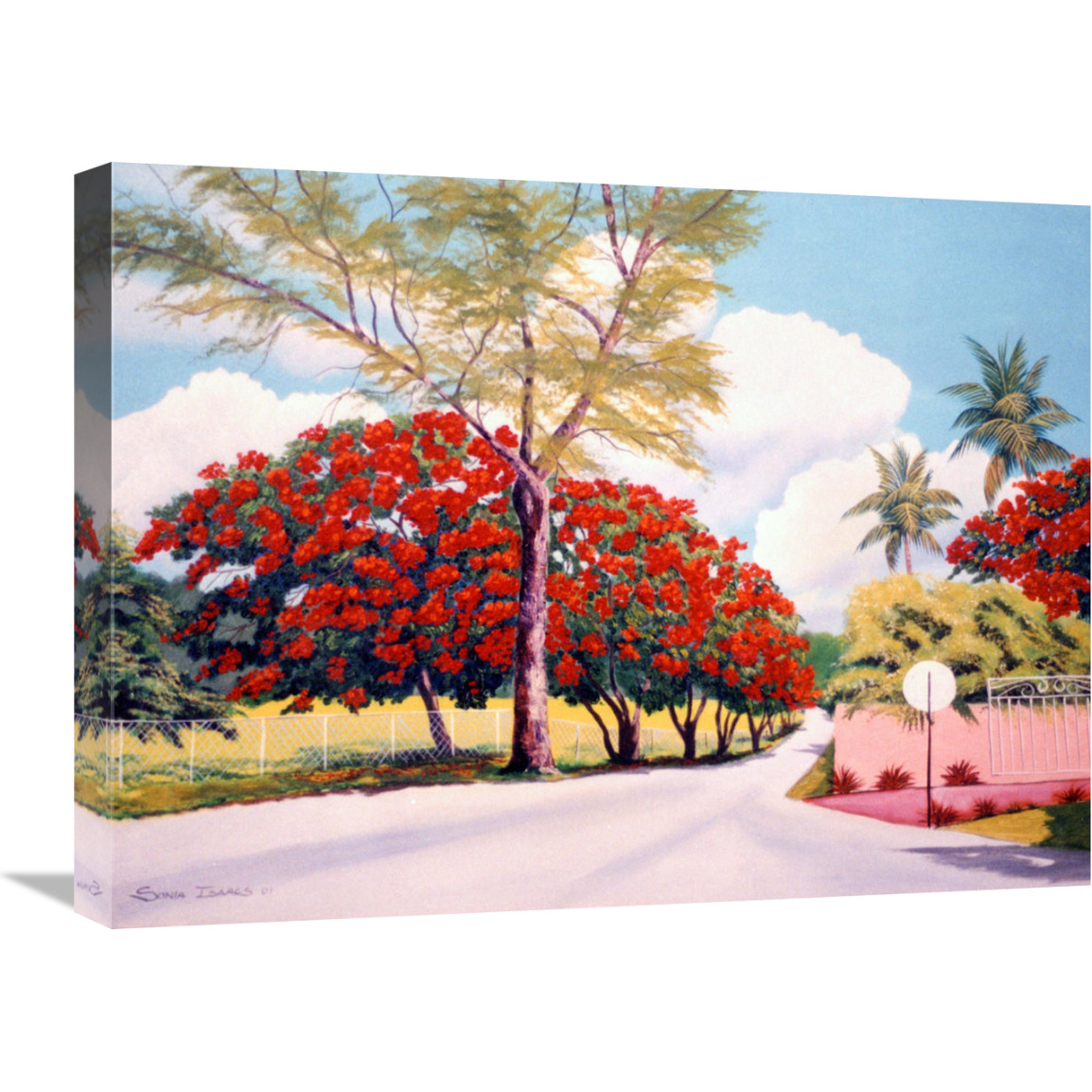 Poncianna Drive-Canvas Art-24&quotx18"