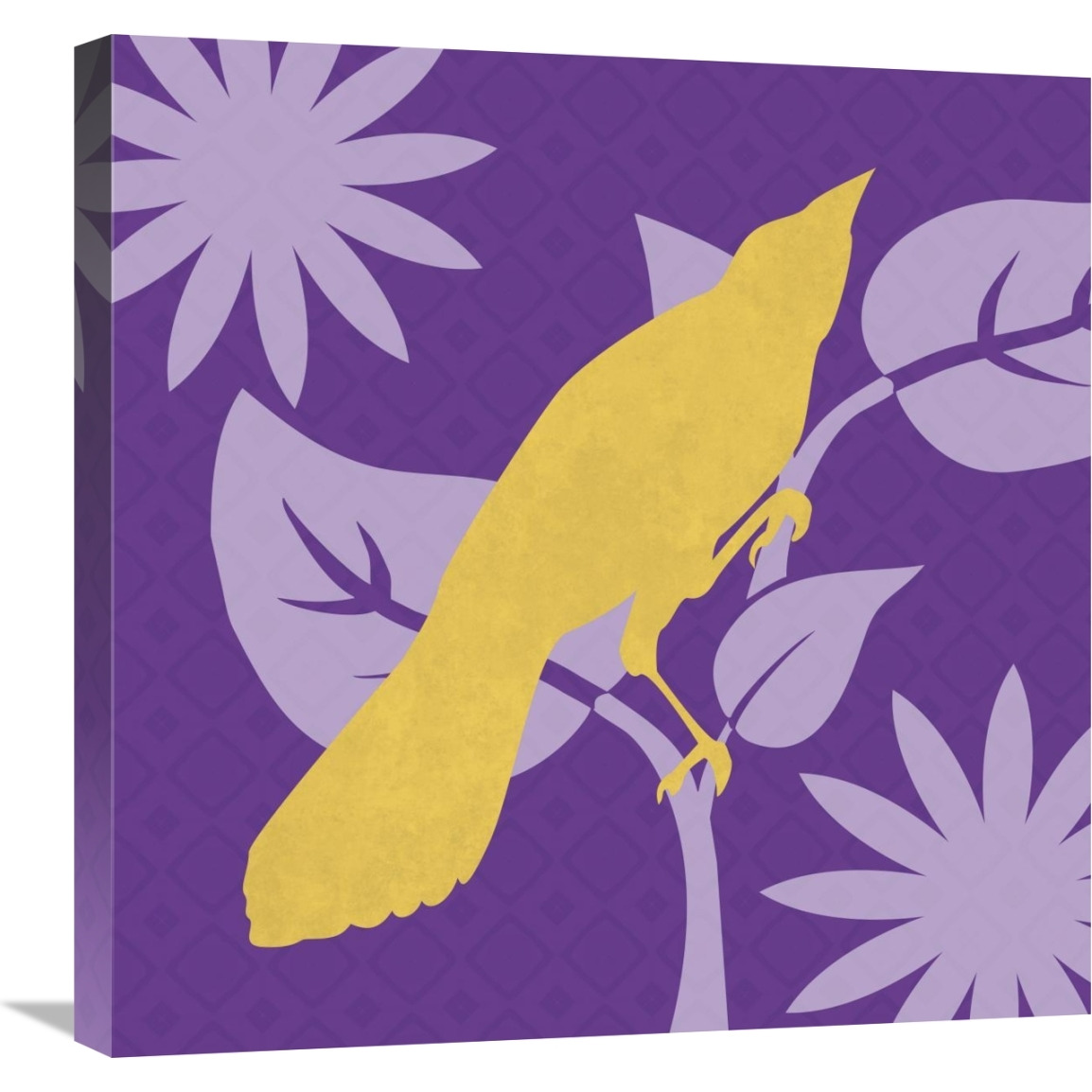 Bright Birds Jay-Canvas Art-24&quotx24"