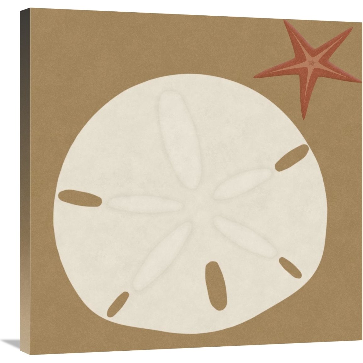 Summer Fun Sand Dollar-Canvas Art-30&quotx30"