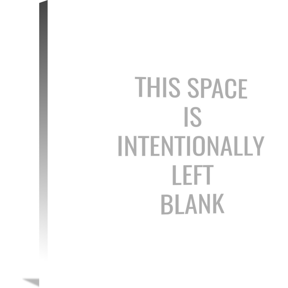 This Space Is Intentionally Left Blank-Canvas Art-30&quotx30"