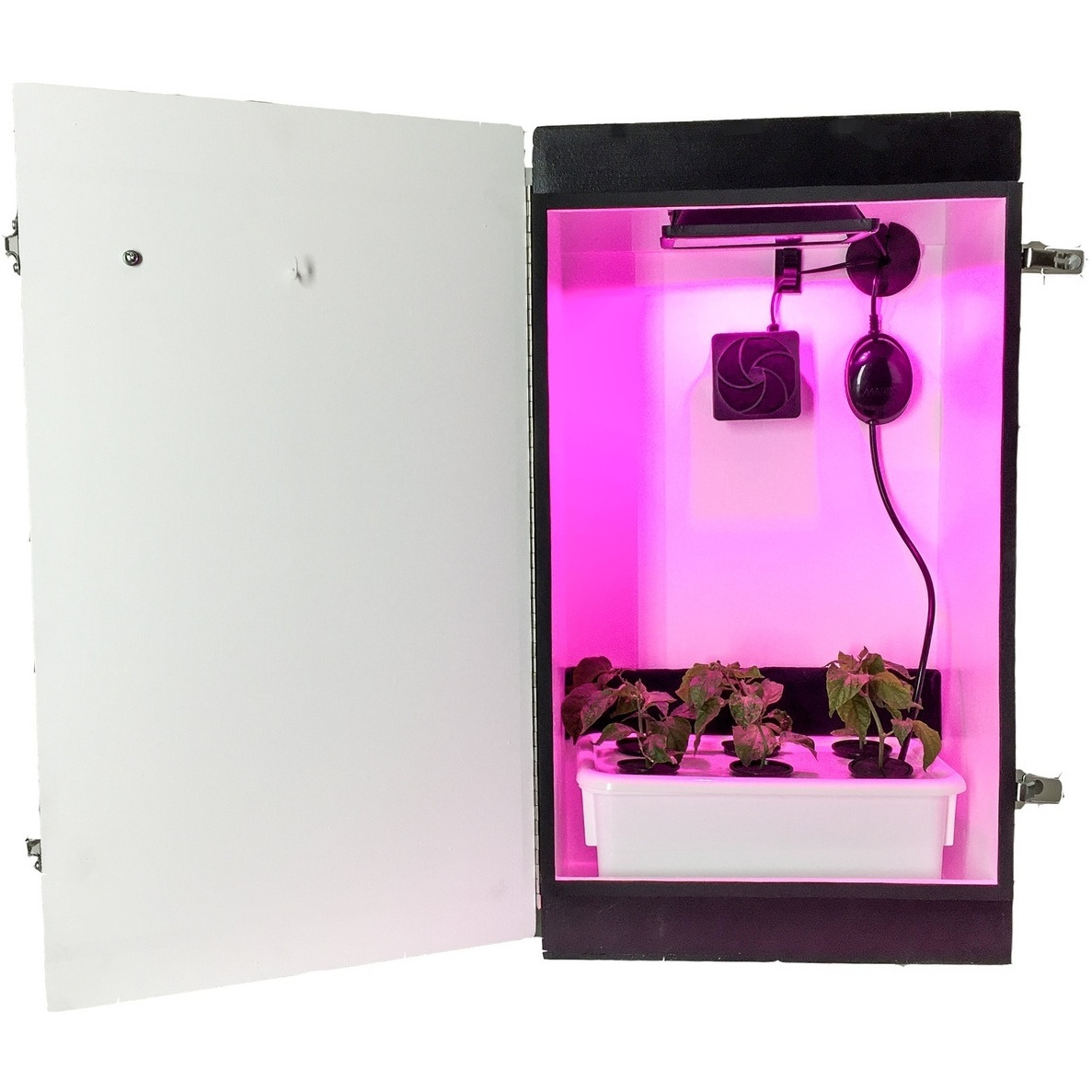Cash Crop 6.0 - LED Hydroponics Grow Box