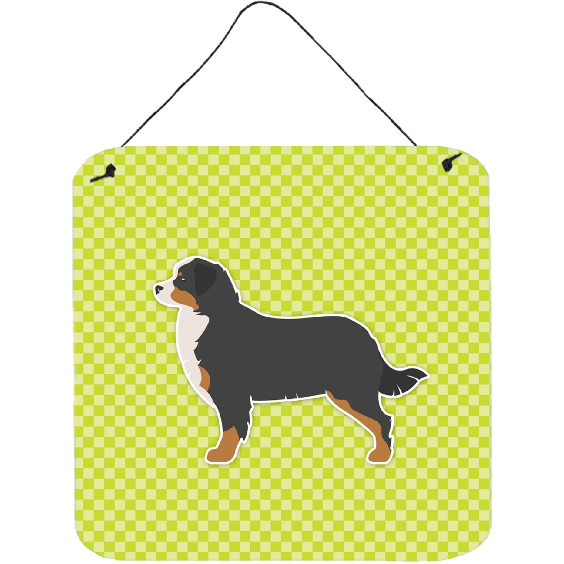&quotCaroline's Treasures Bernese Mountain Dog Checkerboard Green Wall or Door Hanging Prints BB3819DS66, 6"" x 6"", Multicolor"