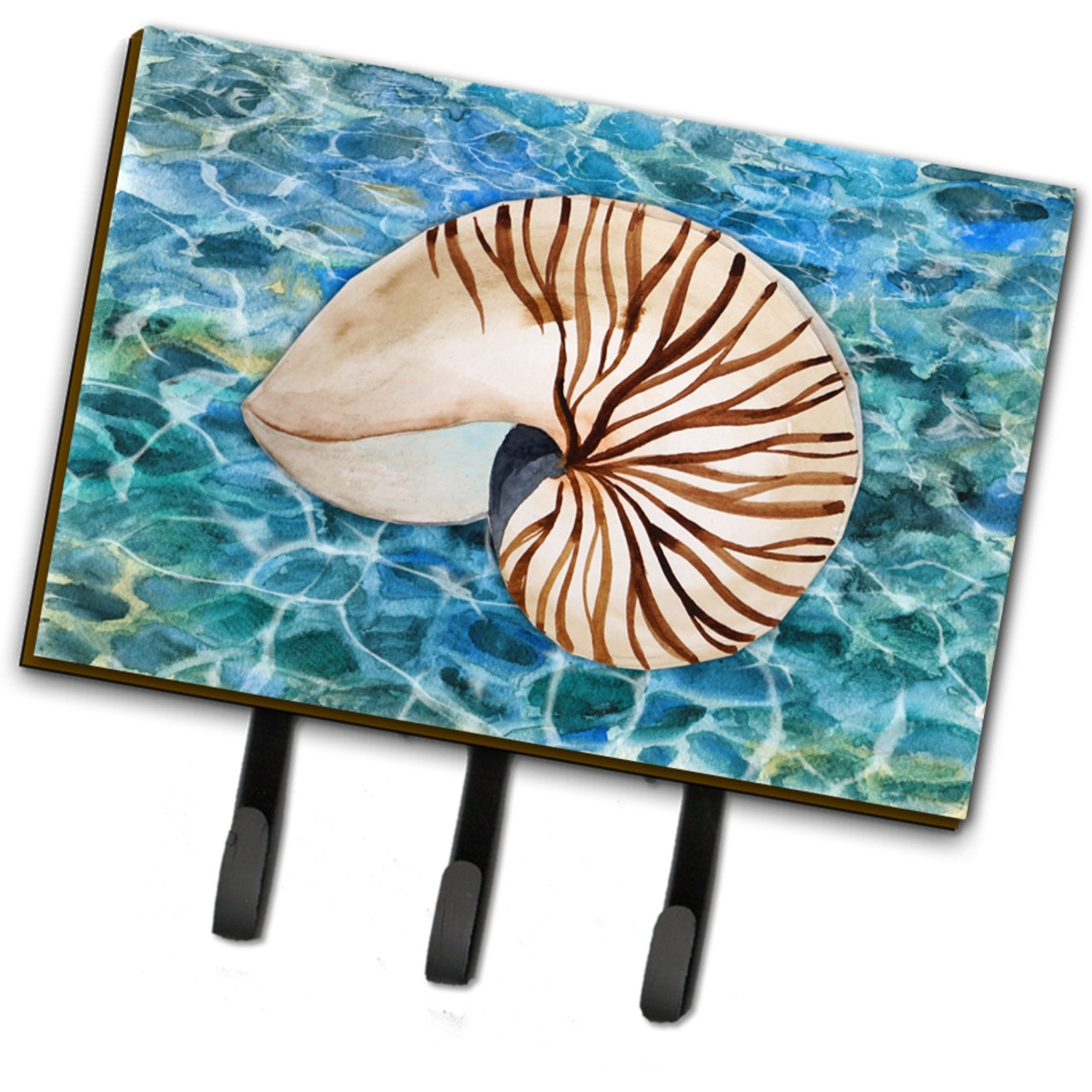 &quotCaroline's Treasures Sea Shell and Water Wall Hook, Triple, Multicolor"