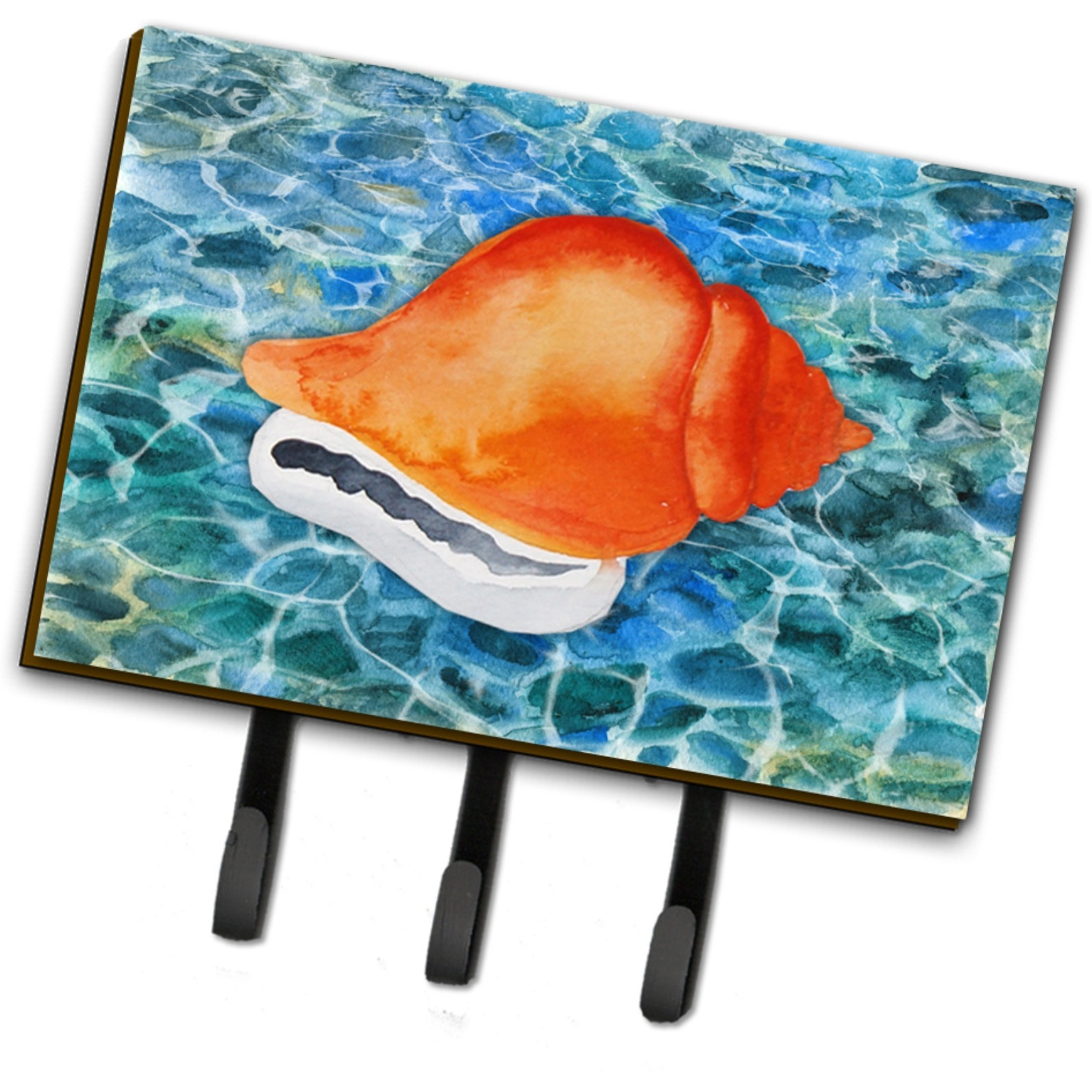 &quotCaroline's Treasures Sea Shell Wall Hook, Triple"