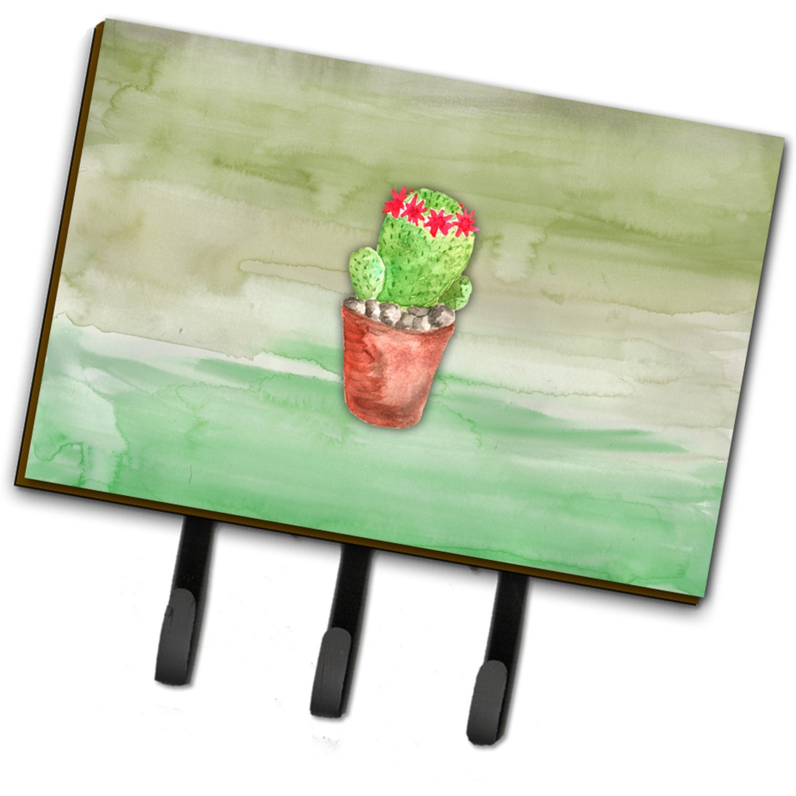 &quotCaroline's Treasures Cactus Green Watercolor Wall Hook, Triple, Multicolor"