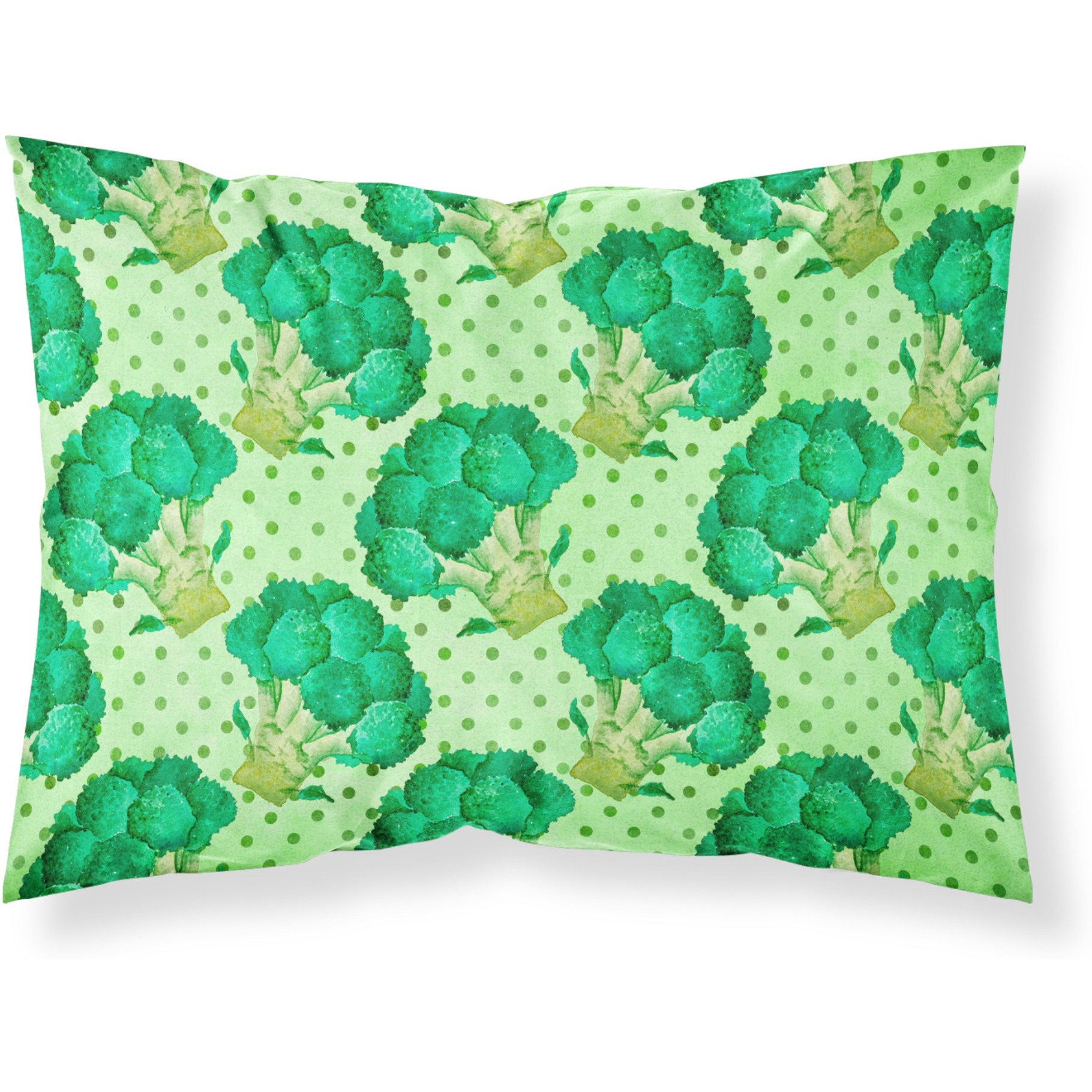 &quotCaroline's Treasures Watercolor Broccoli Pillowcase, Standard, Multicolor"