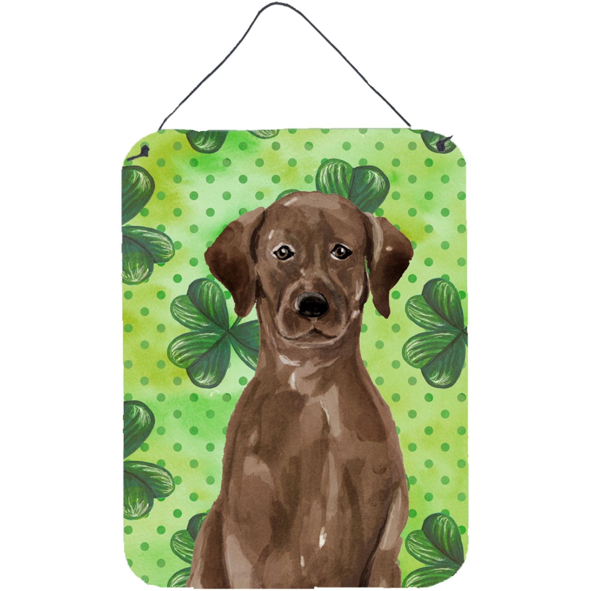 &quotCaroline's Treasures Chocolate Labrador St. Patrick's Metal Print, 16"" x 12"", Multicolor"