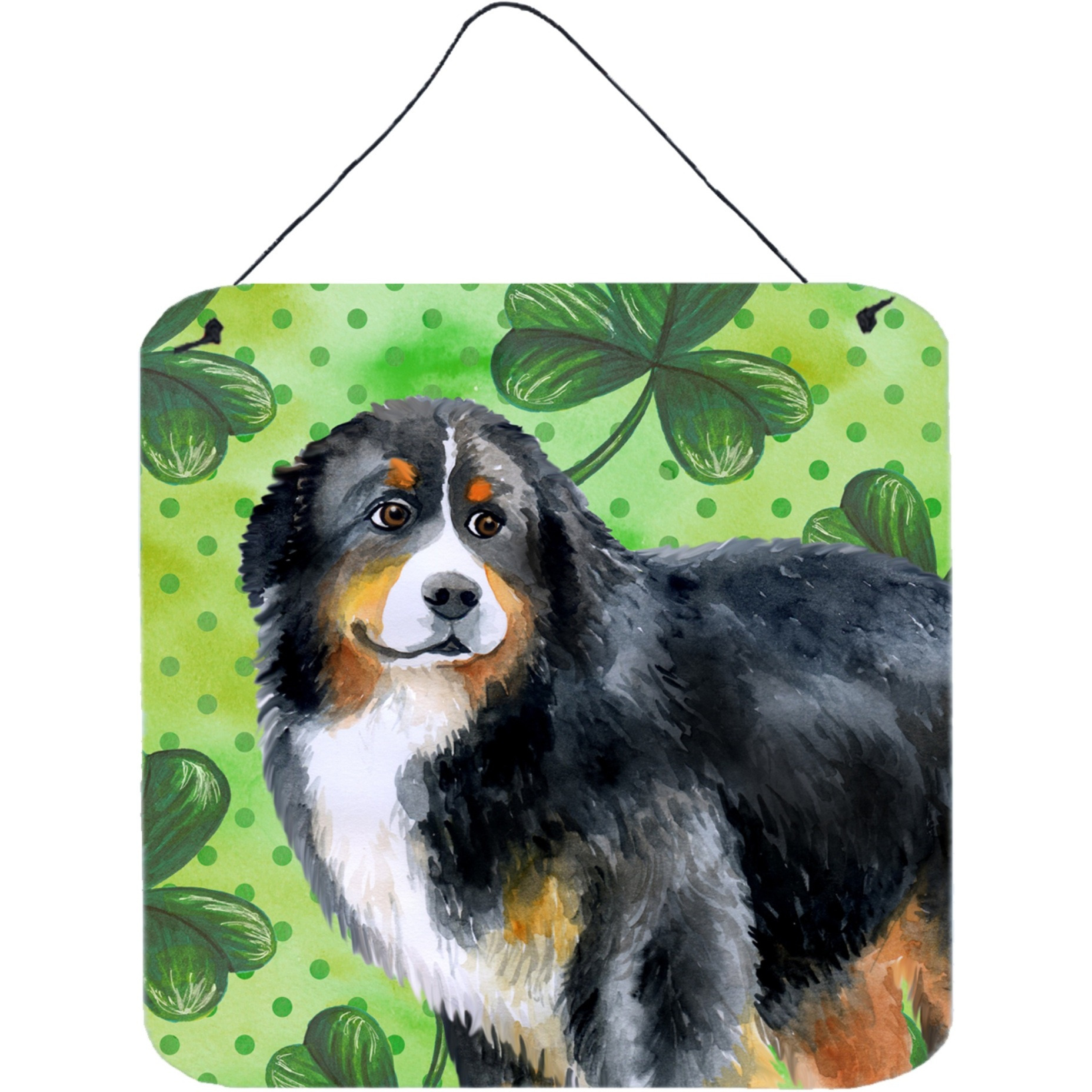 &quotCaroline's Treasures Bernese Mountain Dog Metal Print, 6h x 6w, St Patrick's Day"