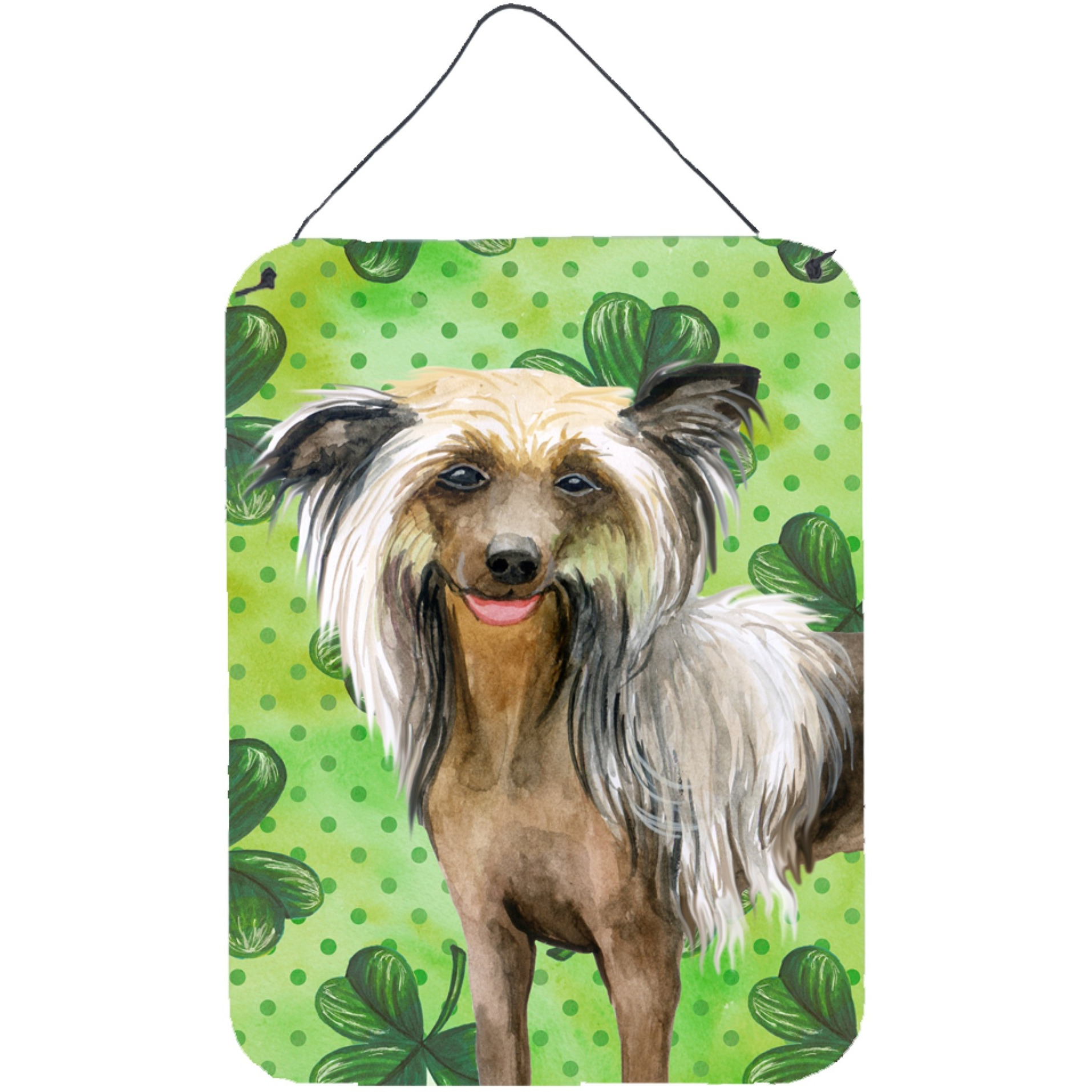 &quotCaroline's Treasures Chinese Crested St Patrick's Metal Print, 16"" x 12"", Multicolor"