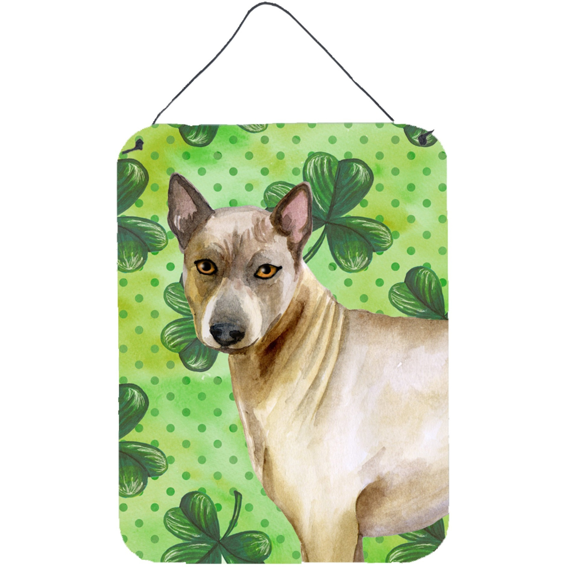 &quotCaroline's Treasures Thai Ridgeback St Patrick's Metal Print, 16"" x 12"", Multicolor"