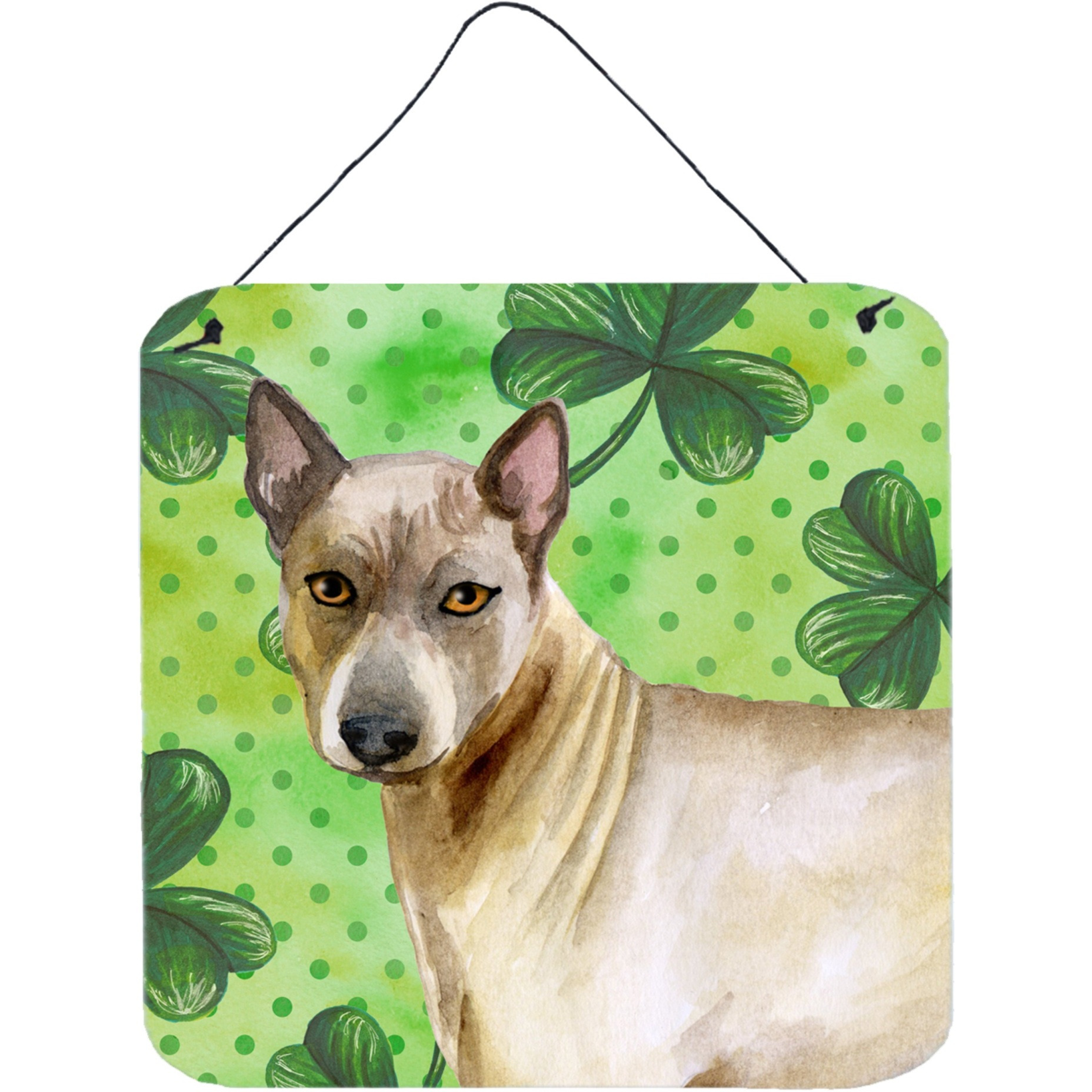 &quotCaroline's Treasures Thai Ridgeback Metal Print, 6h x 6w, St Patrick's Day"