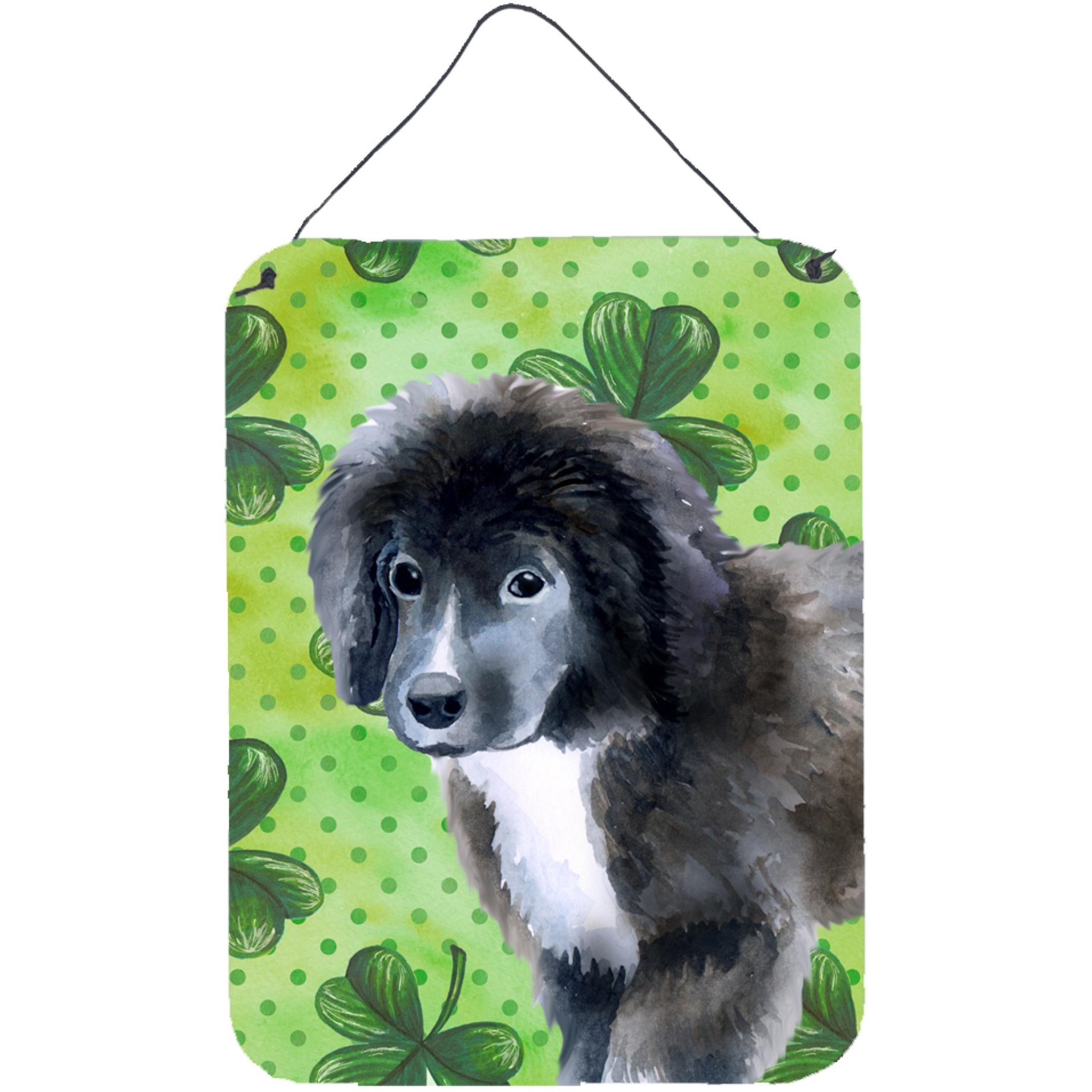 &quotCaroline's Treasures Newfoundland Puppy St Patrick's Metal Print, 16"" x 12"", Multicolor"