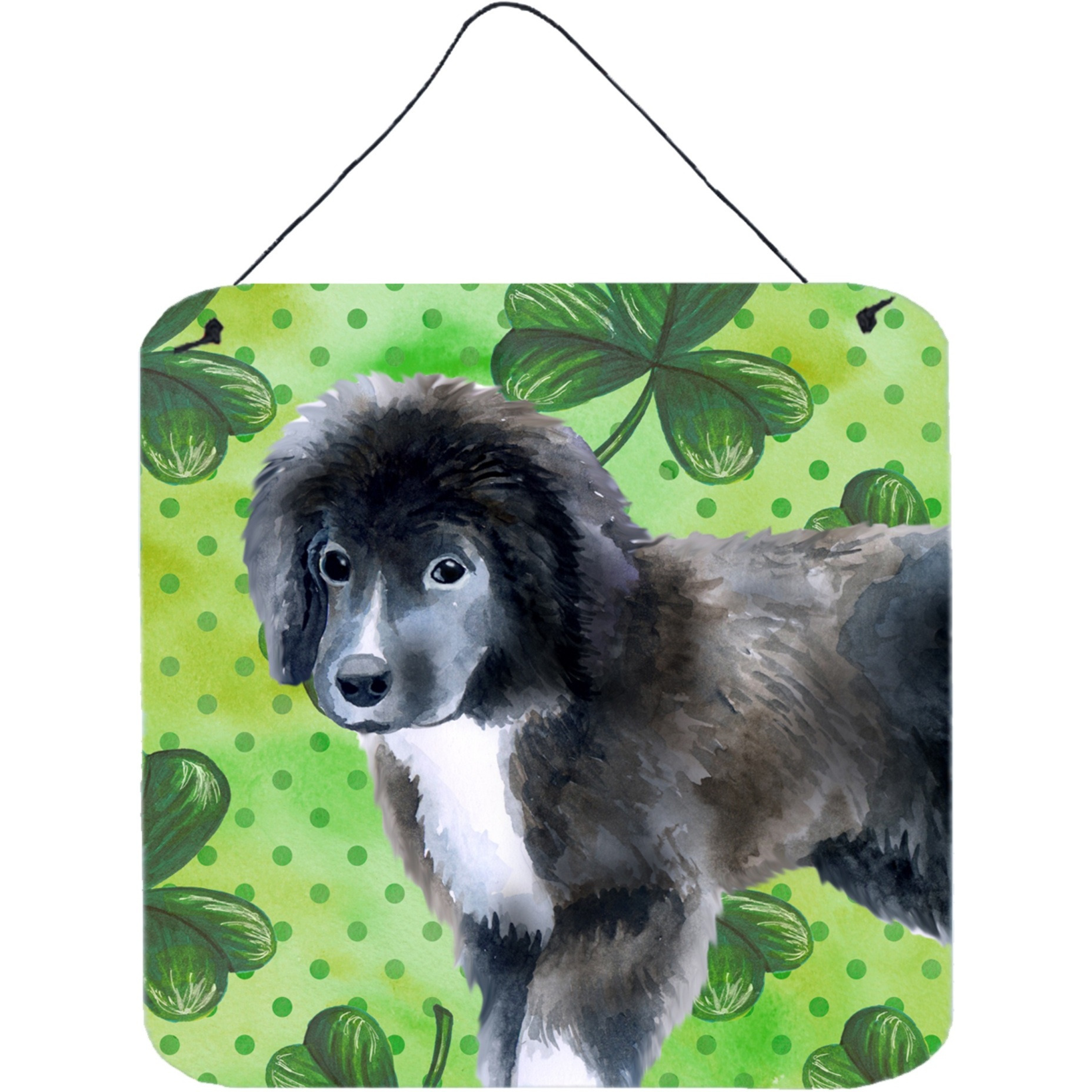 &quotCaroline's Treasures Newfoundland Puppy Metal Print, 6h x 6w, St Patrick's Day"