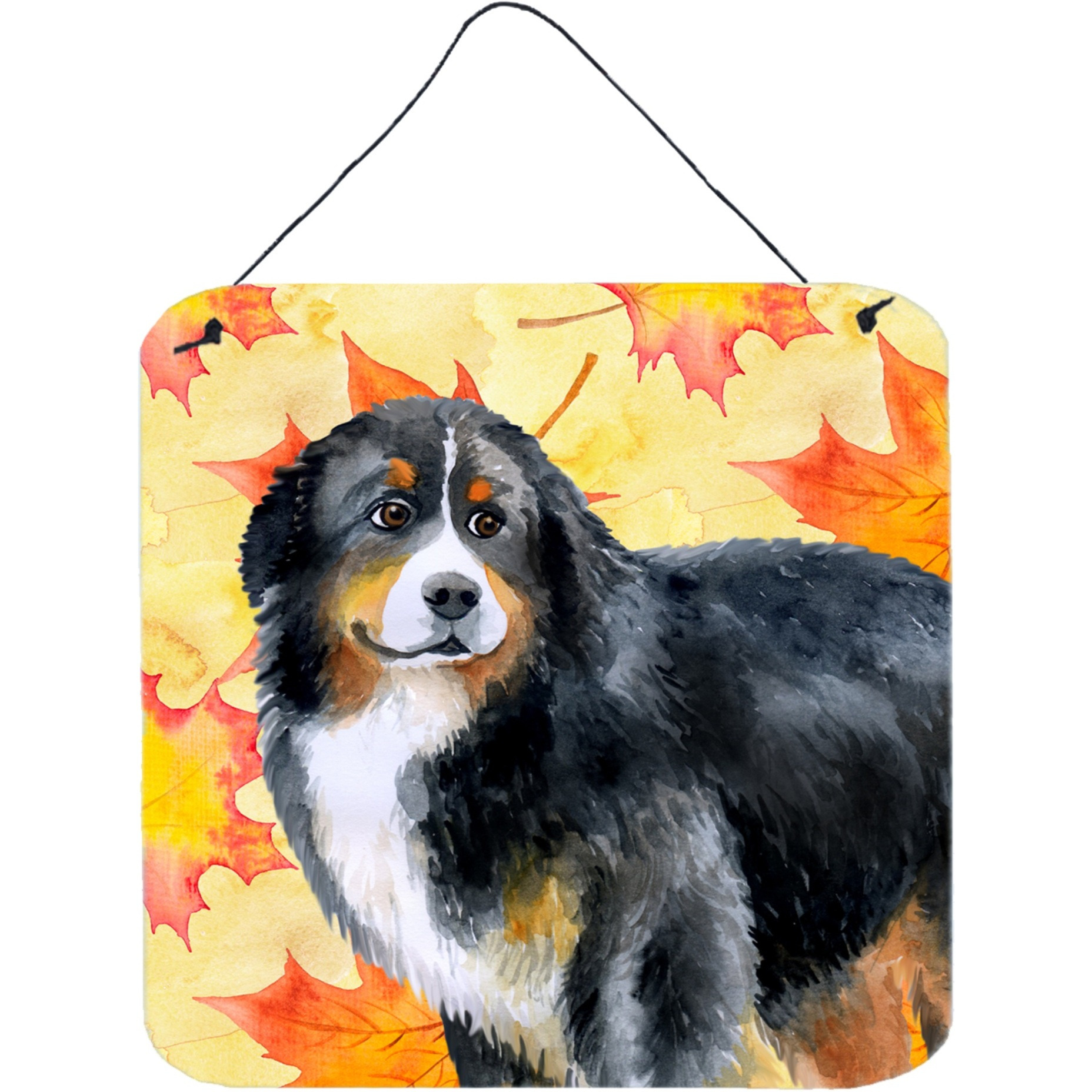 &quotCaroline's Treasures Bernese Mountain Dog Metal Print, 6h x 6w, Fall Leaves"