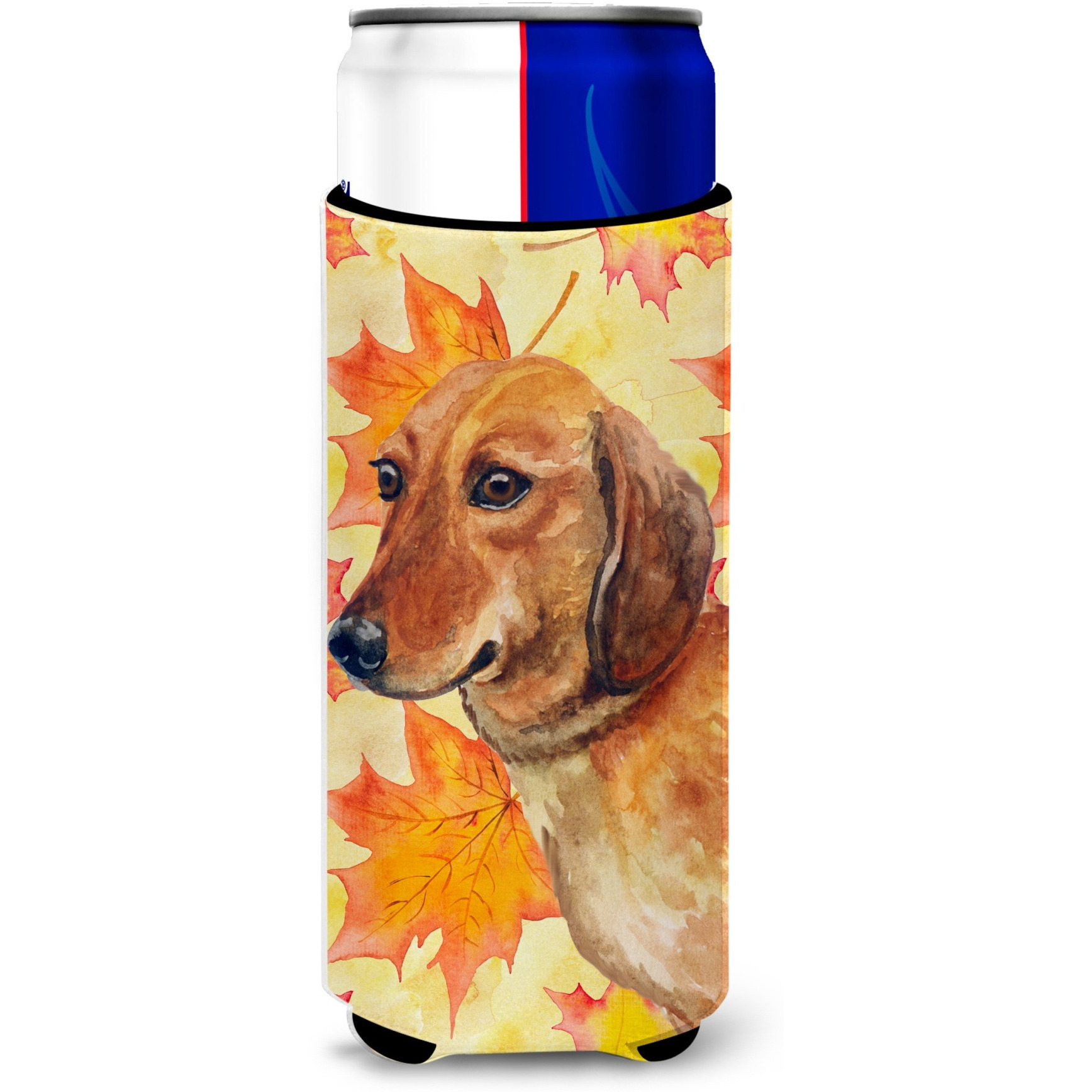 &quotCaroline's Treasures Dachshund Fall Decorative Can Hugger, Slim, Multicolor"