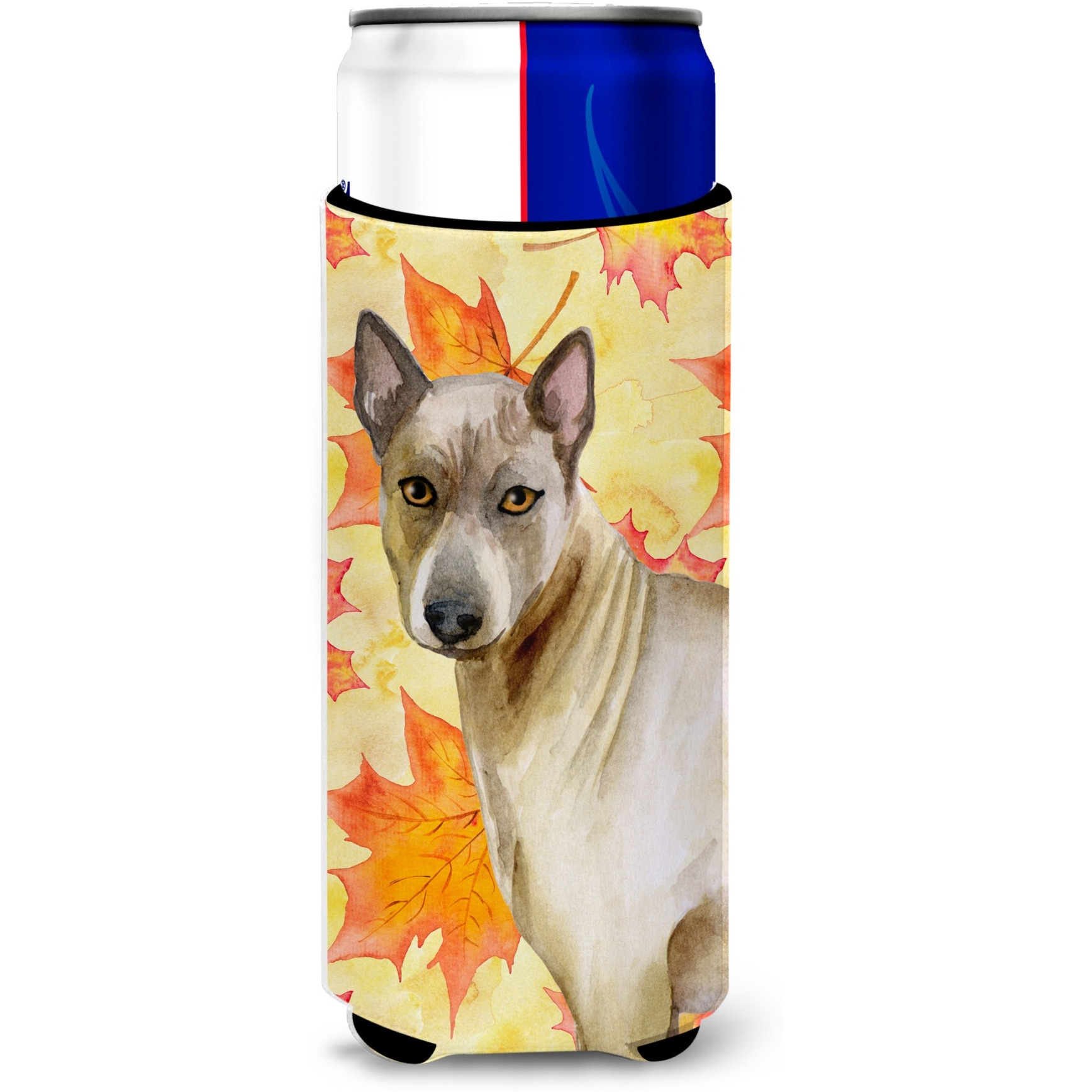 &quotCaroline's Treasures Thai Ridgeback Fall Decorative Can Hugger, Slim, Multicolor"