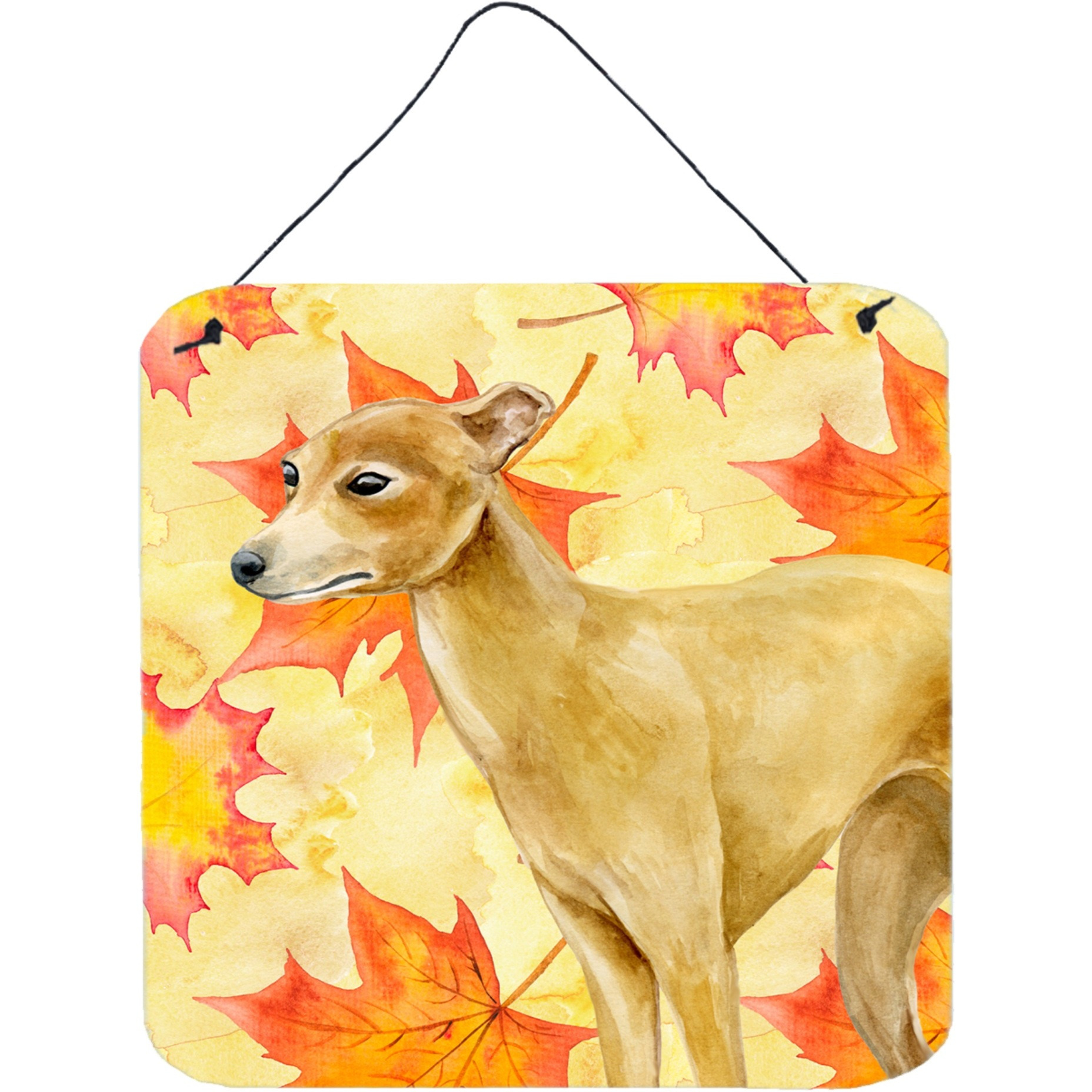 &quotCaroline's Treasures Italian Greyhound Metal Print, 6h x 6w, Fall Leaves"
