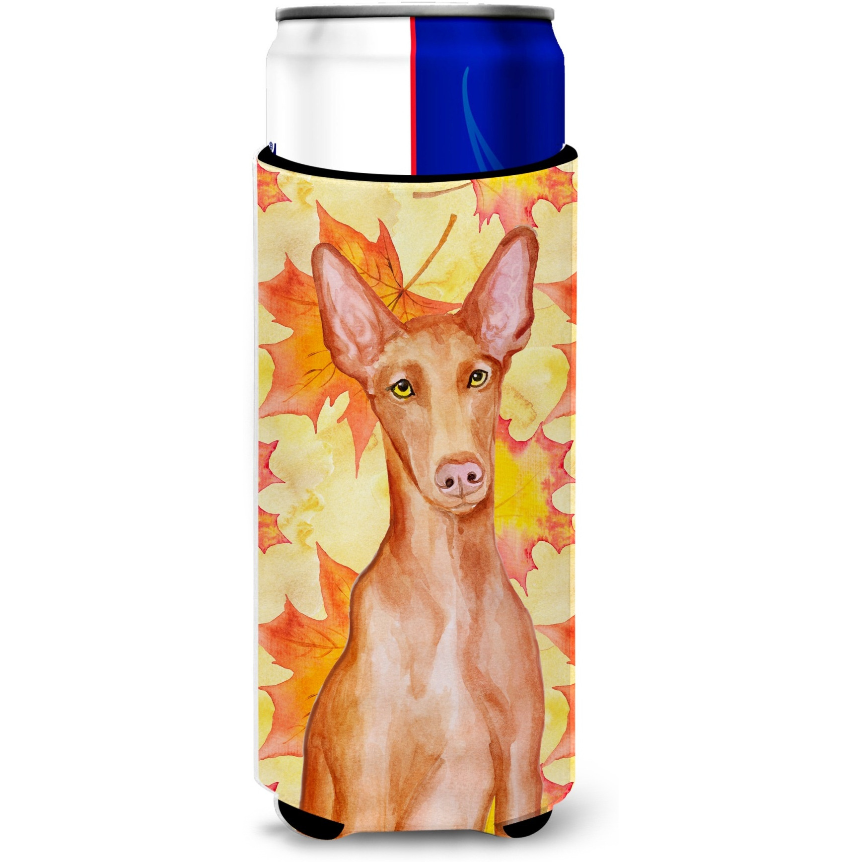 &quotCaroline's Treasures Pharaoh Hound Fall Decorative Can Hugger, Slim, Multicolor"