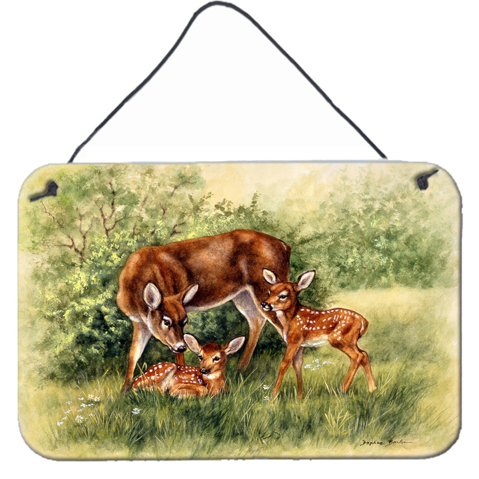 &quotCaroline's Treasures Deer by Daphne Baxter Wall or Door Hanging Prints BDBA0116DS812, 8HX12W"