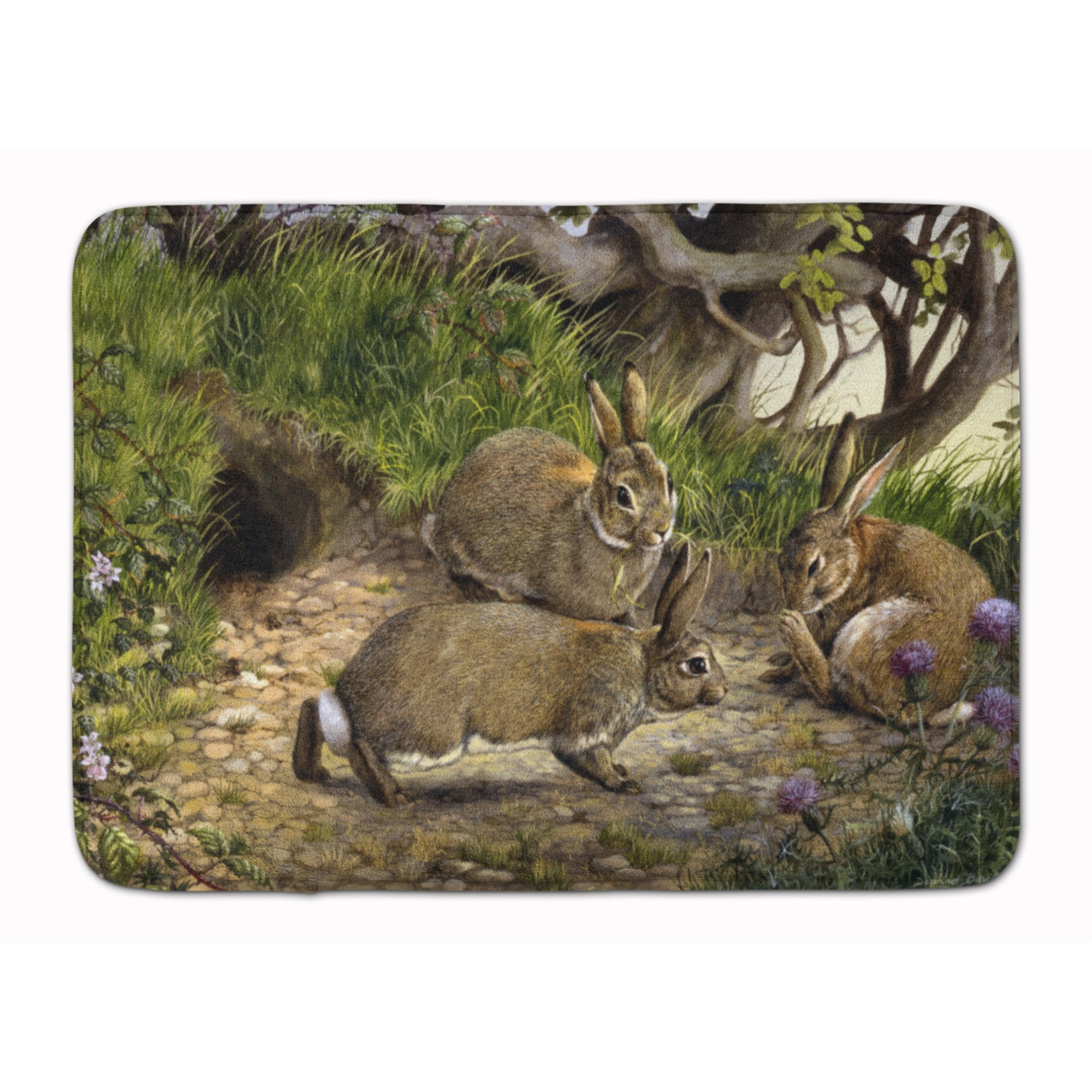 &quotCaroline's Treasures Rabbit Hole Floor Mat, 19"" x 27"", Multicolor"