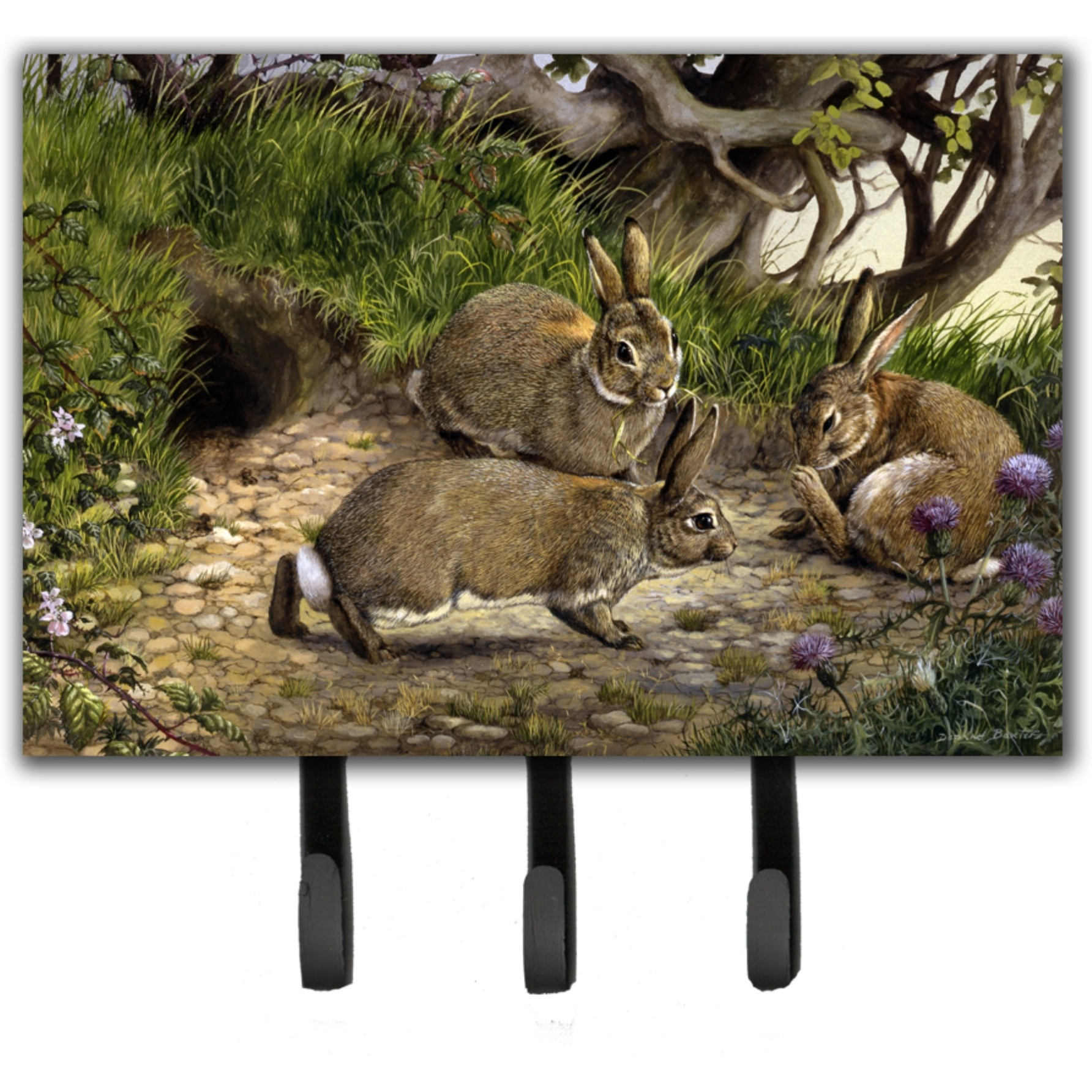 &quotCaroline's Treasures Rabbit Hole Leash or Key Holder BDBA0136TH68, Triple, Multicolor"