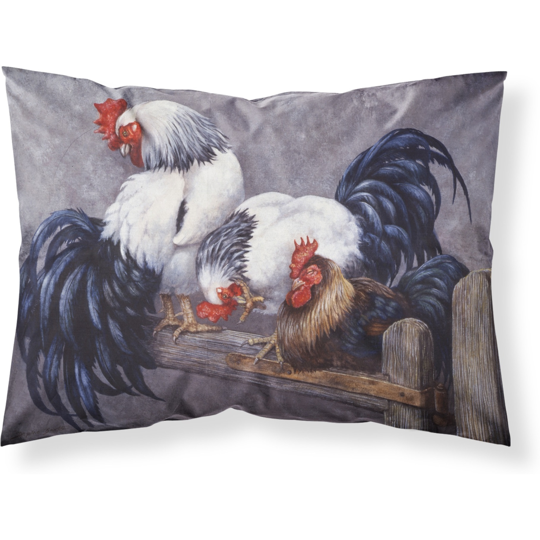 &quotCaroline's Treasures "&quotRoosters Roosting"" Printed, Polyester Envelope Closure pillowcase, Standard, Multicolor"