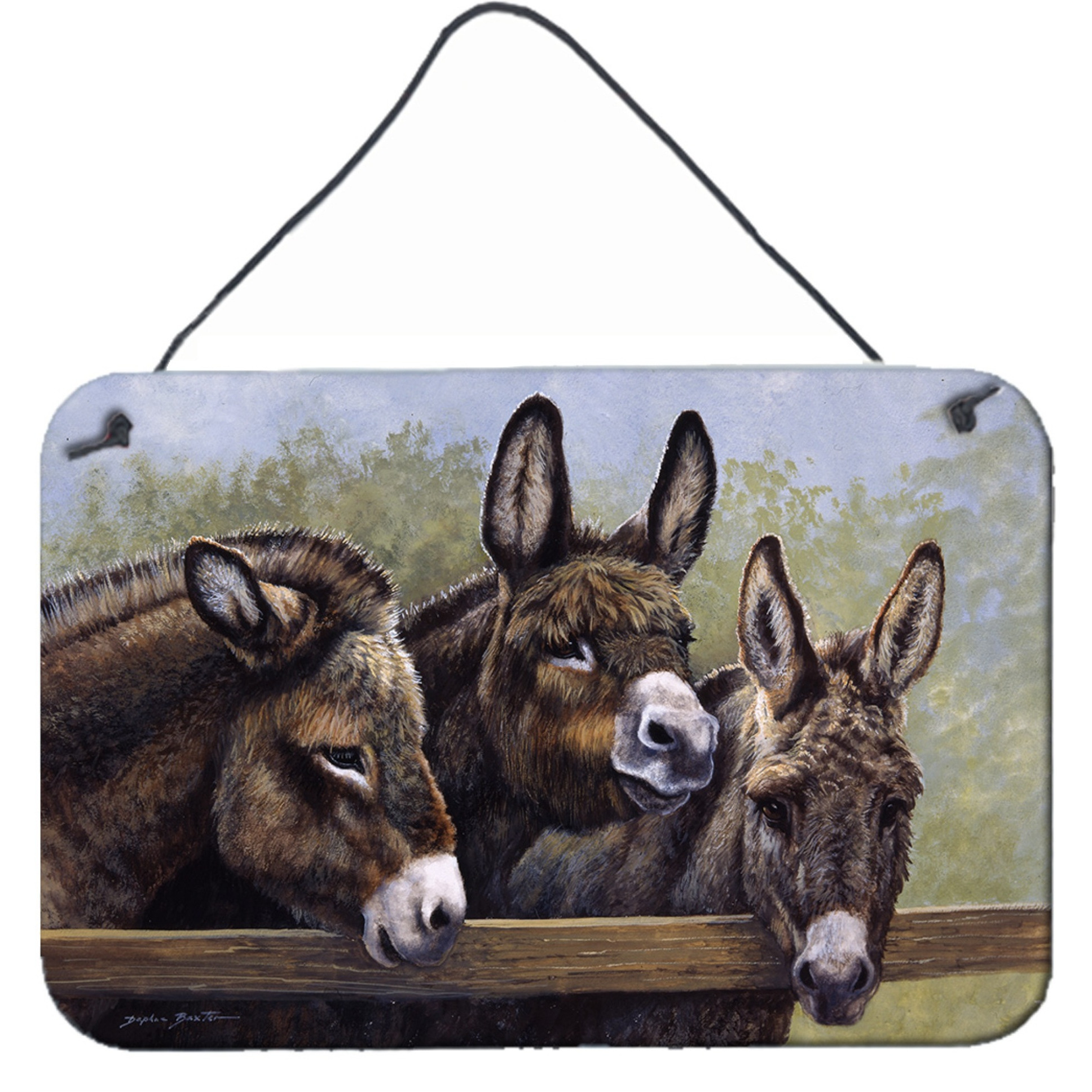 &quotCaroline's Treasures Donkeys by Daphne Baxter Wall or Door Hanging Prints BDBA0235DS812, 8HX12W"