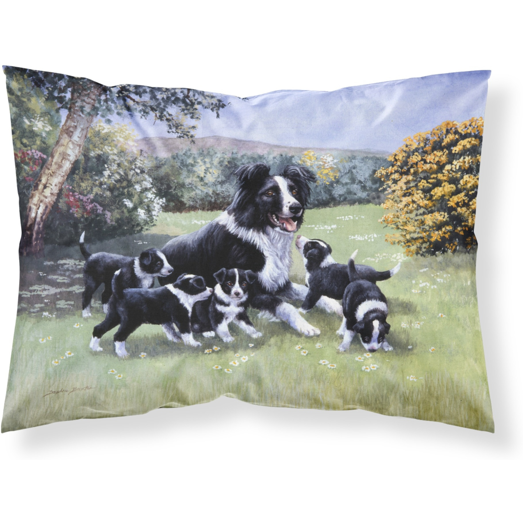 &quotCaroline's Treasures Border Collie Puppies with Momma Fabric Standard Pillowcase BDBA0257PILLOWCASE, Multicolor"