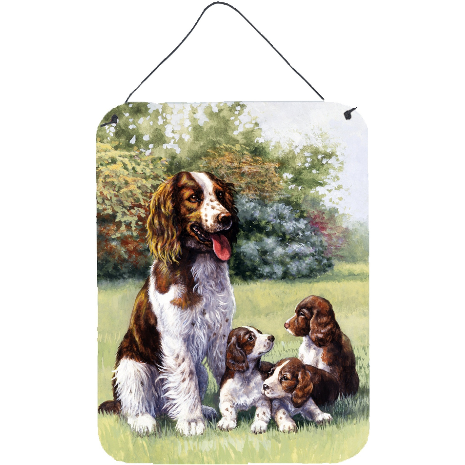 &quotCaroline's Treasures Springer Spaniels by Daphne Baxter Wall or Door Hanging Prints BDBA0288DS1216, 16HX12W, Multicolor"