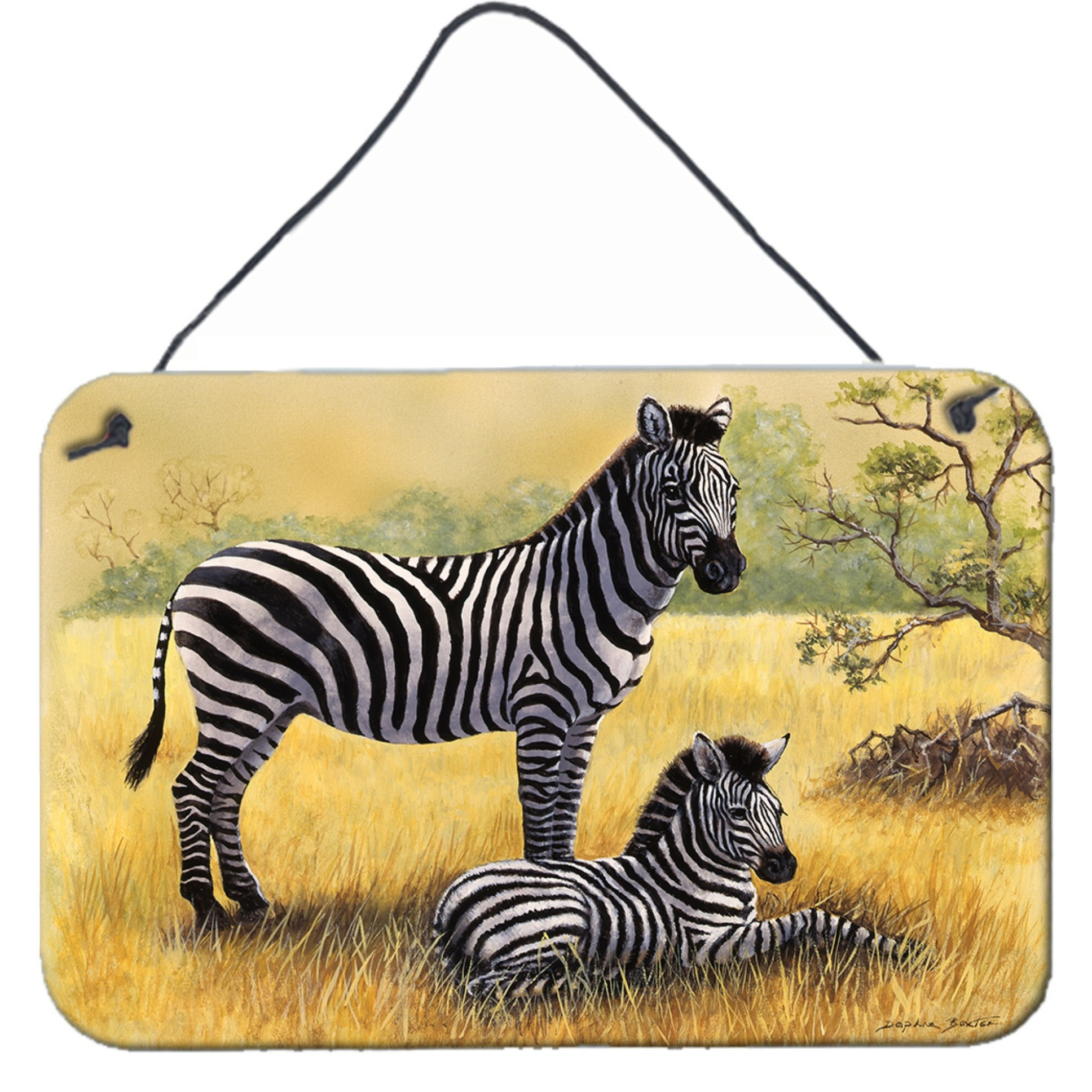 &quotCaroline's Treasures Zebras by Daphne Baxter Wall or Door Hanging Prints BDBA0308DS812, 8HX12W"