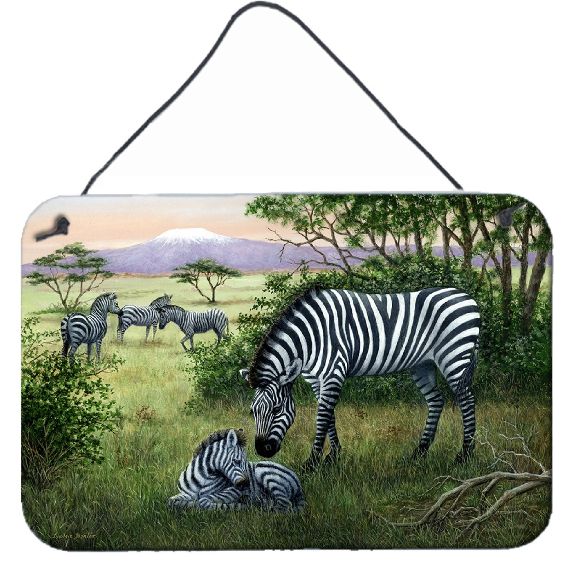 &quotCaroline's Treasures Zebras in the Field with Baby Wall or Door Hanging Prints BDBA0385DS812, 8HX12W, Multicolor"