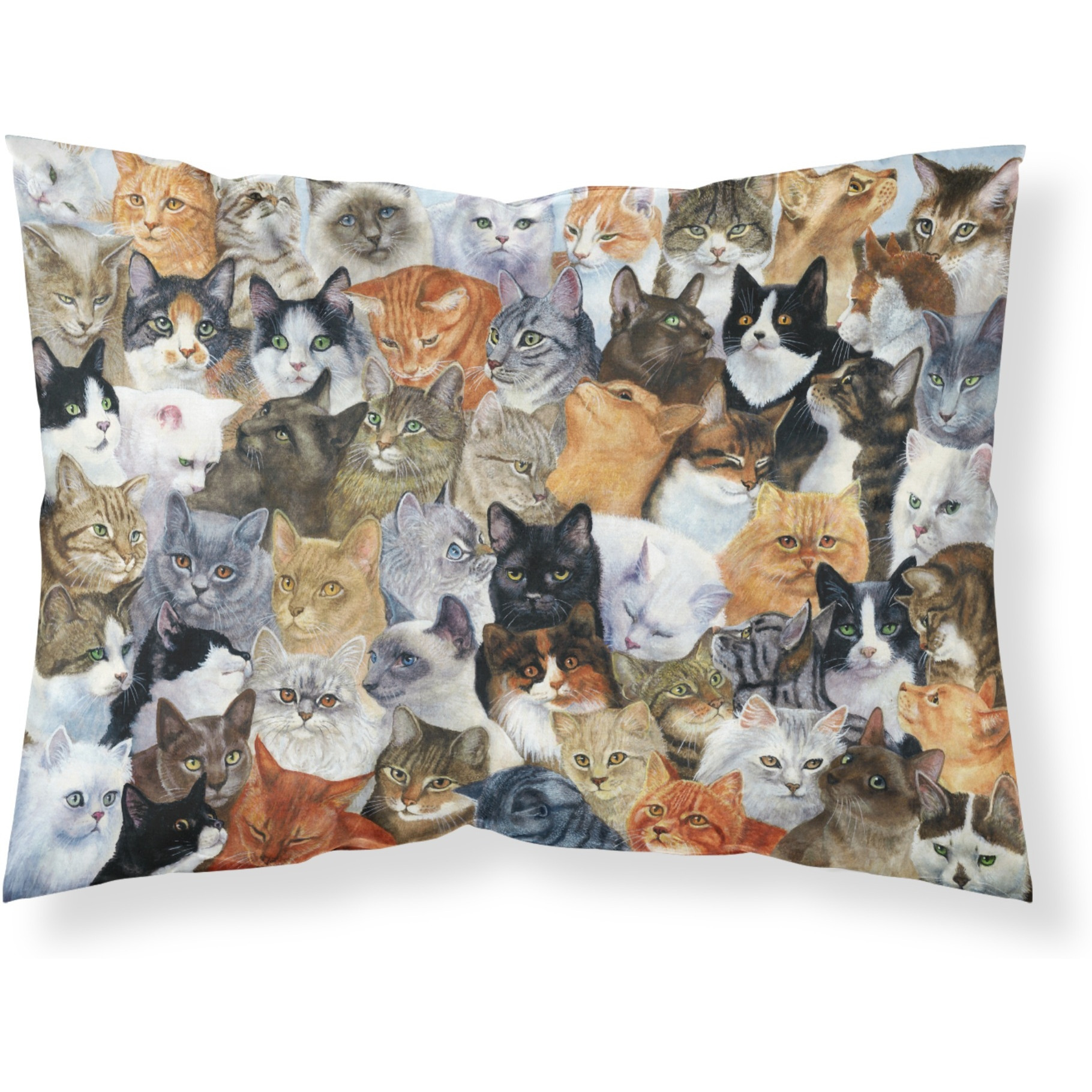 &quotCaroline's Treasures Cats Galore Fabric Standard Pillowcase BDBA0414PILLOWCASE, Multicolor"