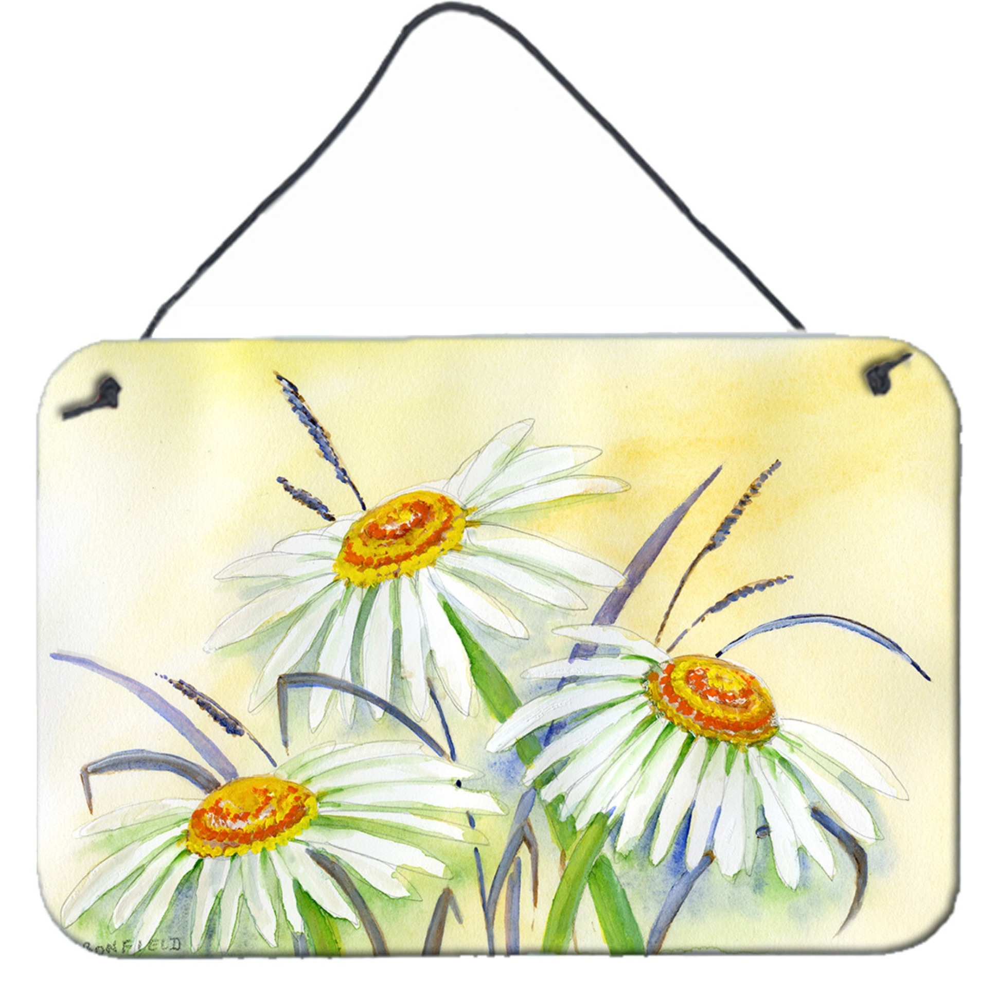 &quotCaroline's Treasures Daisies by Maureen Bonfield Wall or Door Hanging Prints BMBO1108DS812, 8HX12W, Multicolor"