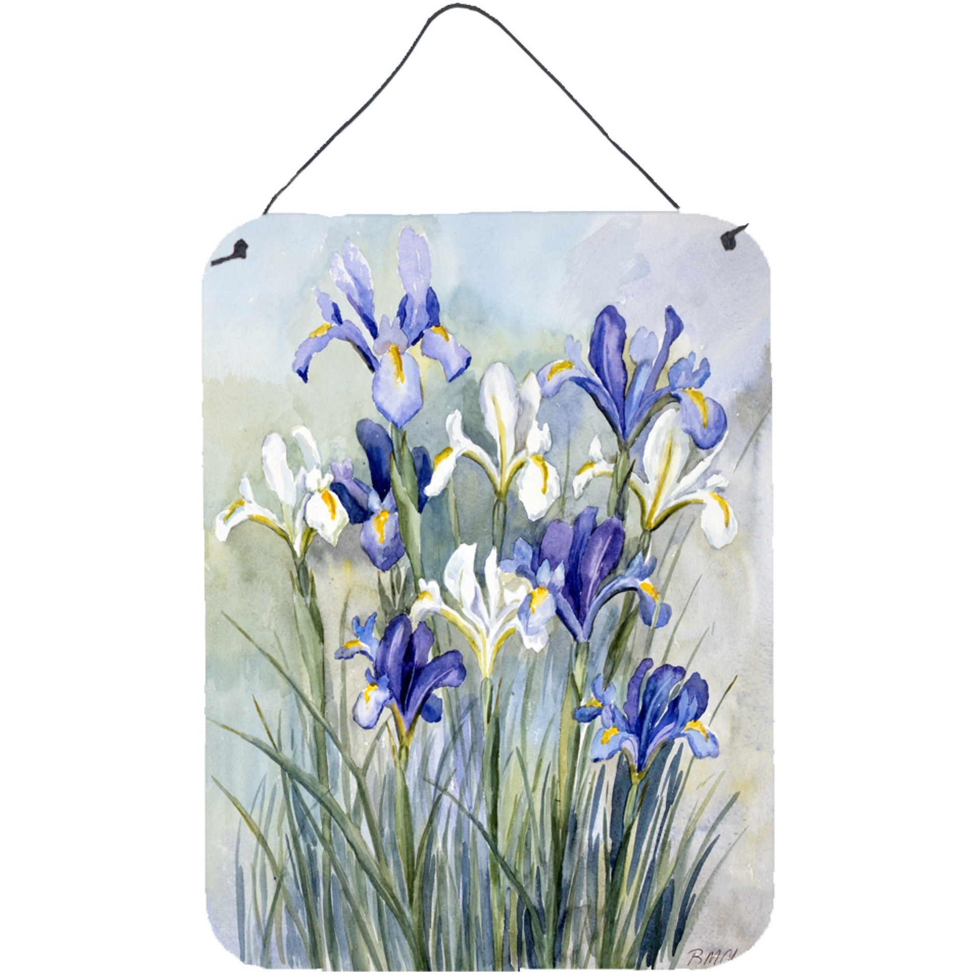 &quotCaroline's Treasures Iris by Bettie Cheesman Wall or Door Hanging Prints CBC0033DS1216, 16HX12W, Multicolor"