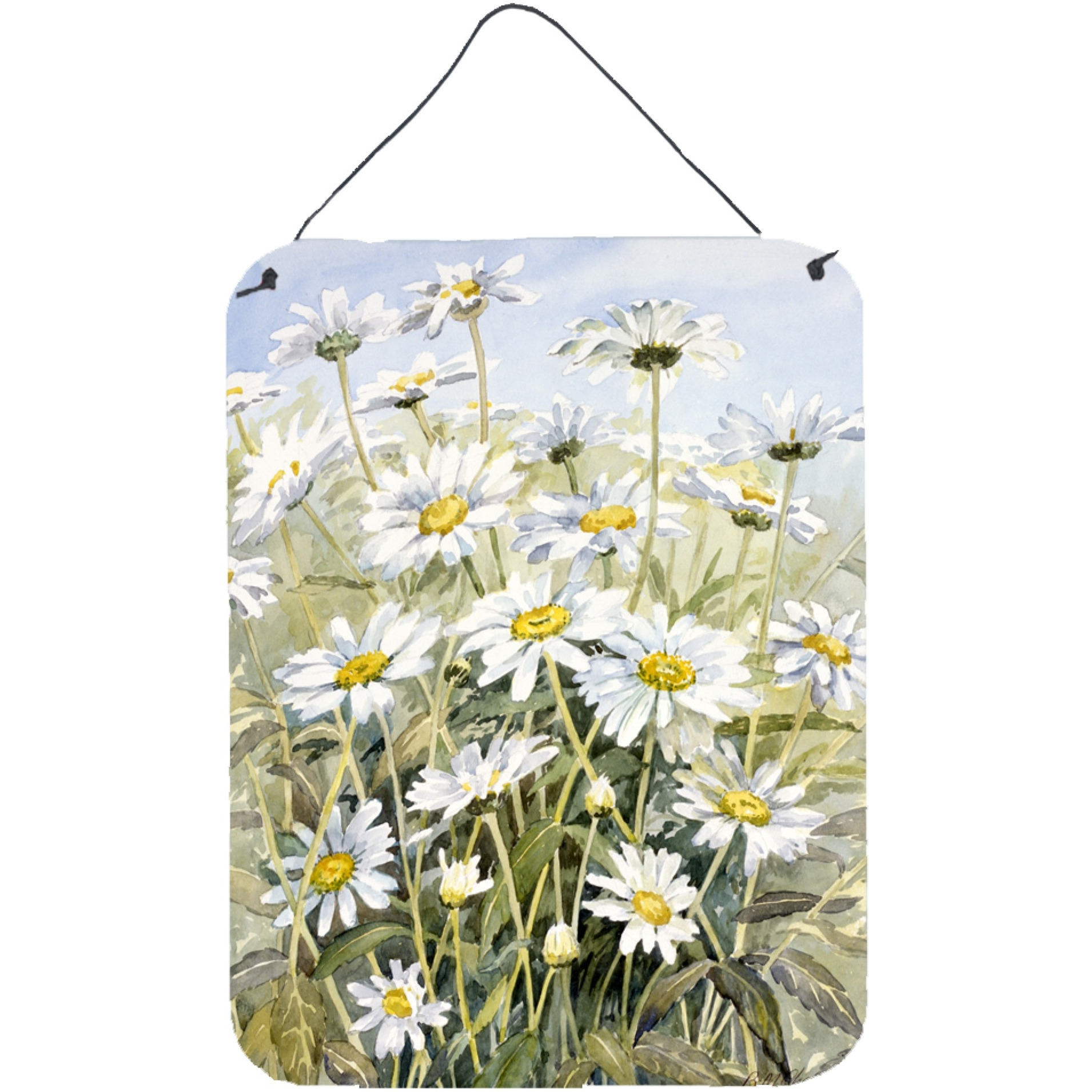 &quotCaroline's Treasures Daisies by Bettie Cheesman Wall or Door Hanging Prints CBC0043DS1216, 16HX12W, Multicolor"