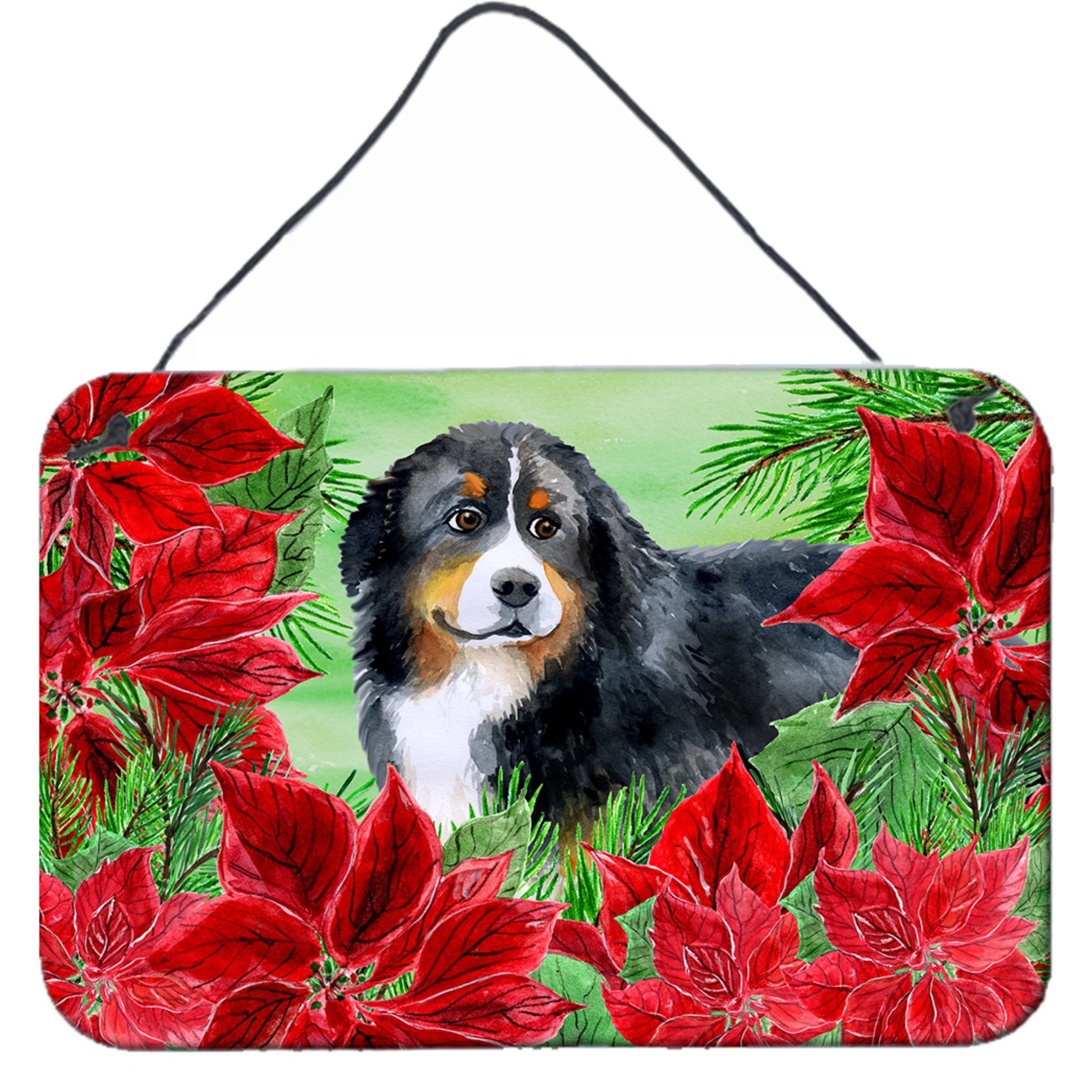 &quotCaroline's Treasures Bernese Mountain Dog Poinsettias Metal Print, 8"" x 12"", Christmas Poinsettas"