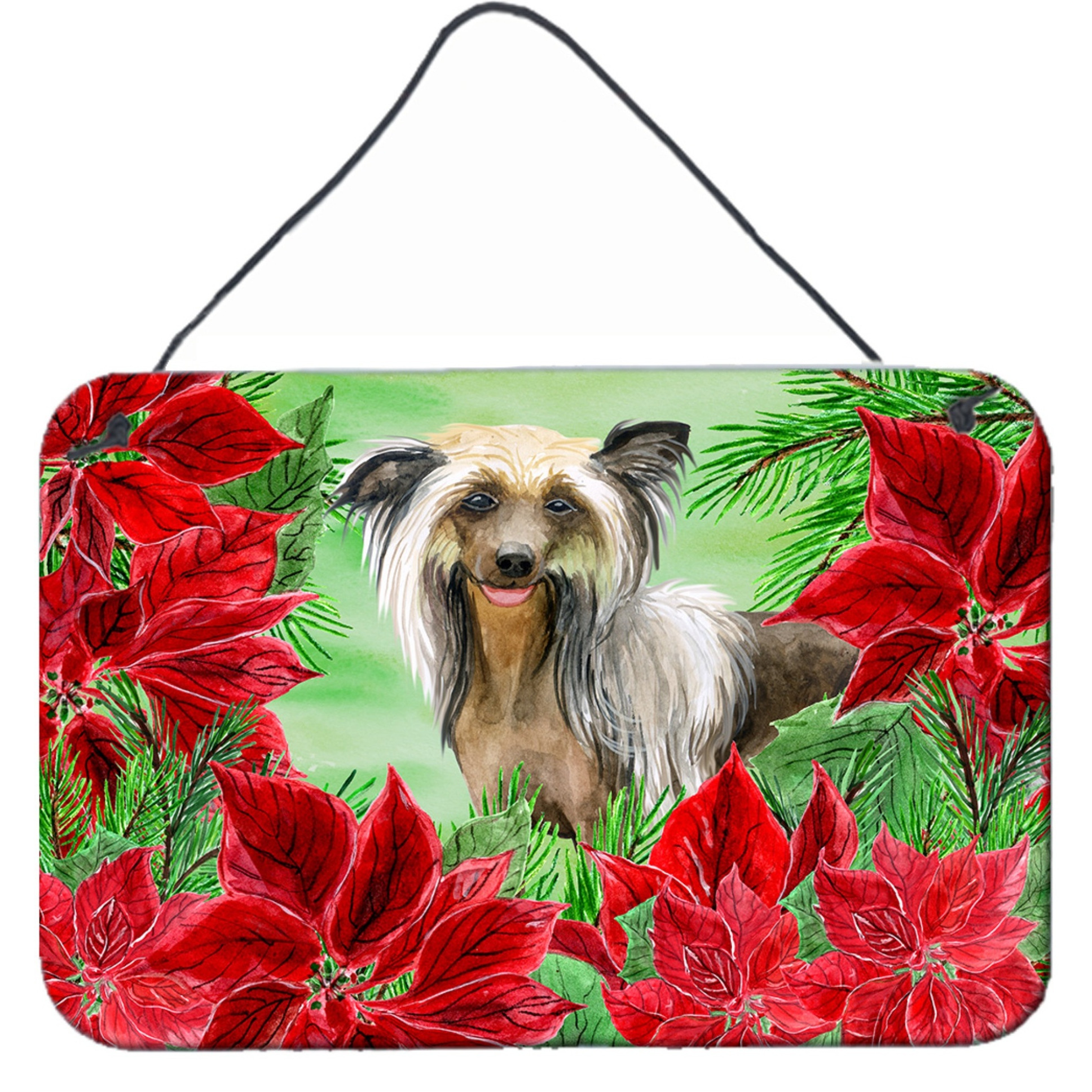 &quotCaroline's Treasures Chinese Crested Poinsettias Metal Print, 8"" x 12"", Christmas Poinsettas"