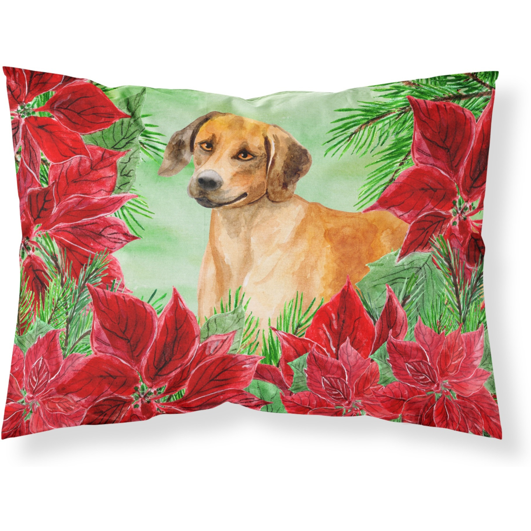 &quotCaroline's Treasures Rhodesian Ridgeback Poinsettias Pillowcase, Standard, Multicolor"