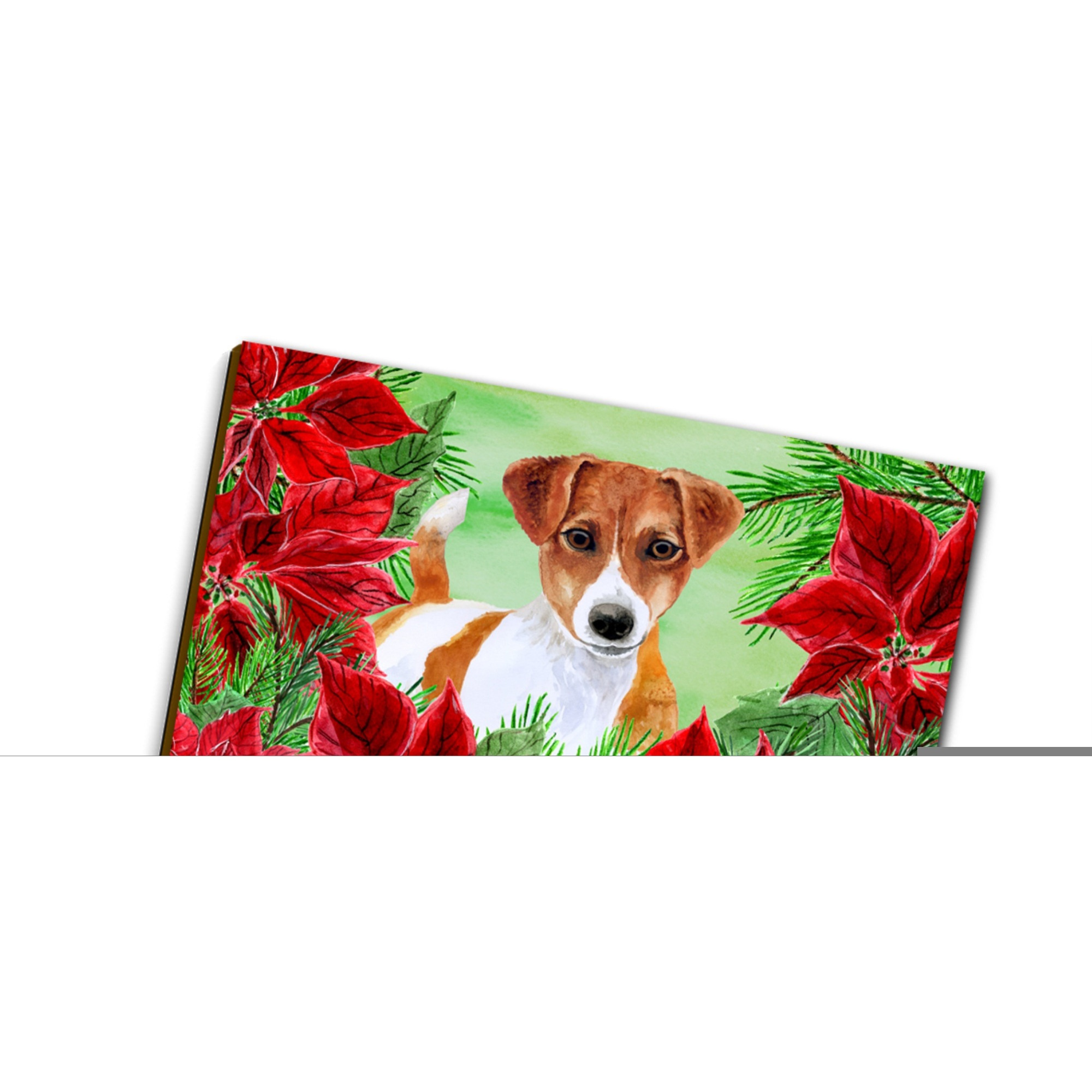 &quotCaroline's Treasures Jack Russell Terrier Poinsettias Wall Hook, Triple, Christmas Poinsettas"
