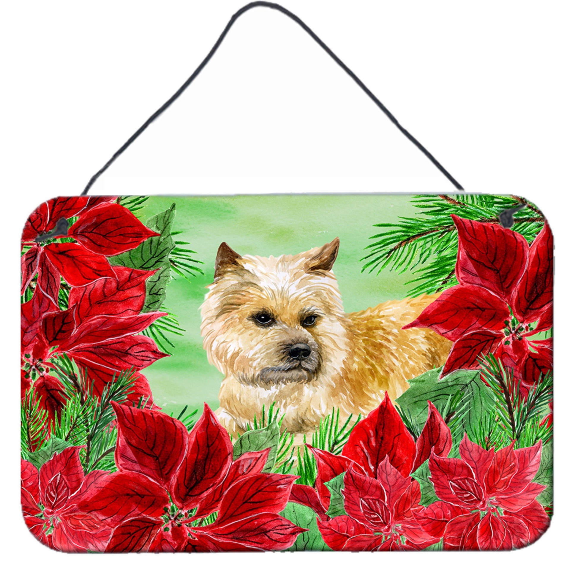 &quotCaroline's Treasures Cairn Terrier Poinsettias Metal Print, 8"" x 12"", Christmas Poinsettas"