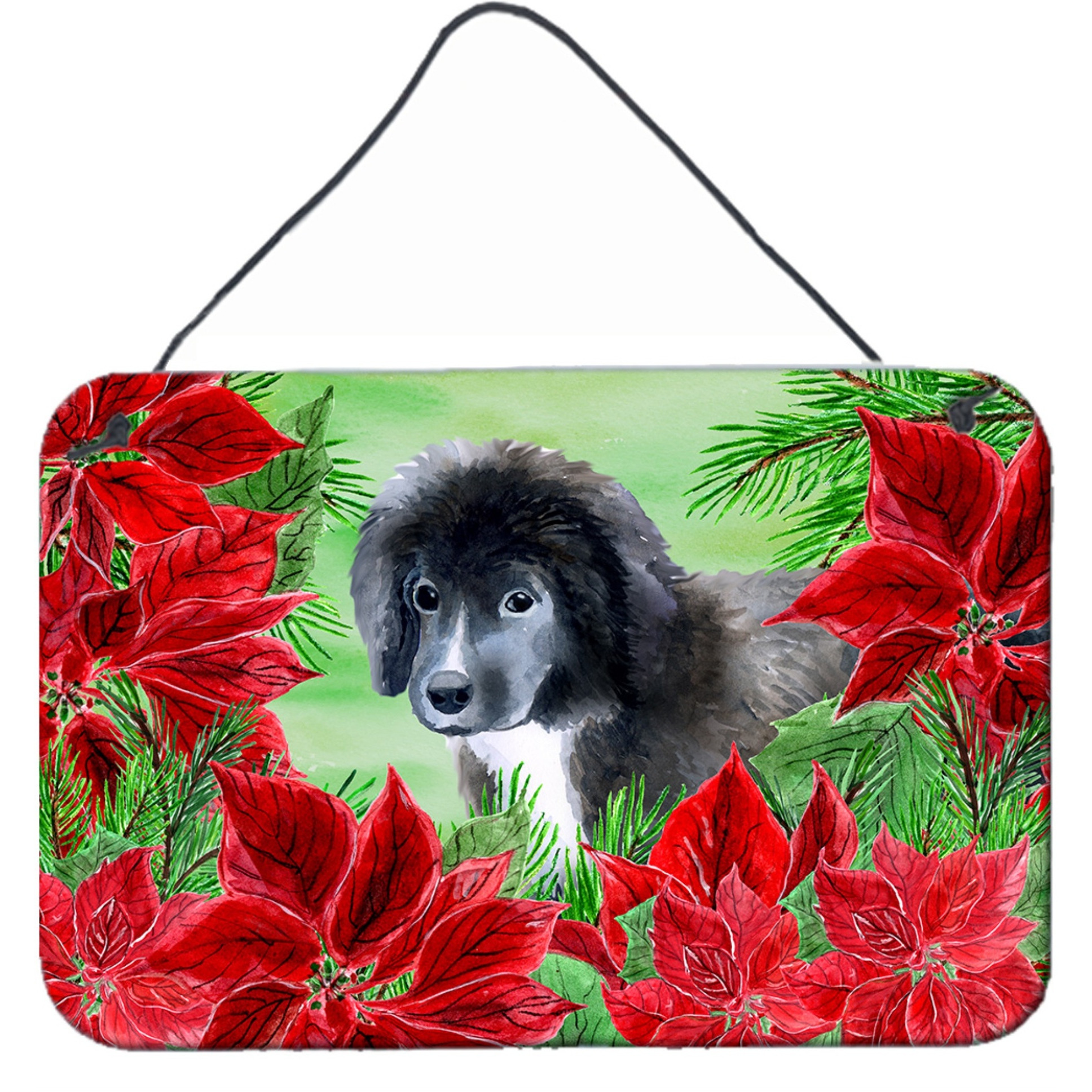 &quotCaroline's Treasures Newfoundland Puppy Poinsettias Metal Print, 8"" x 12"", Multicolor"