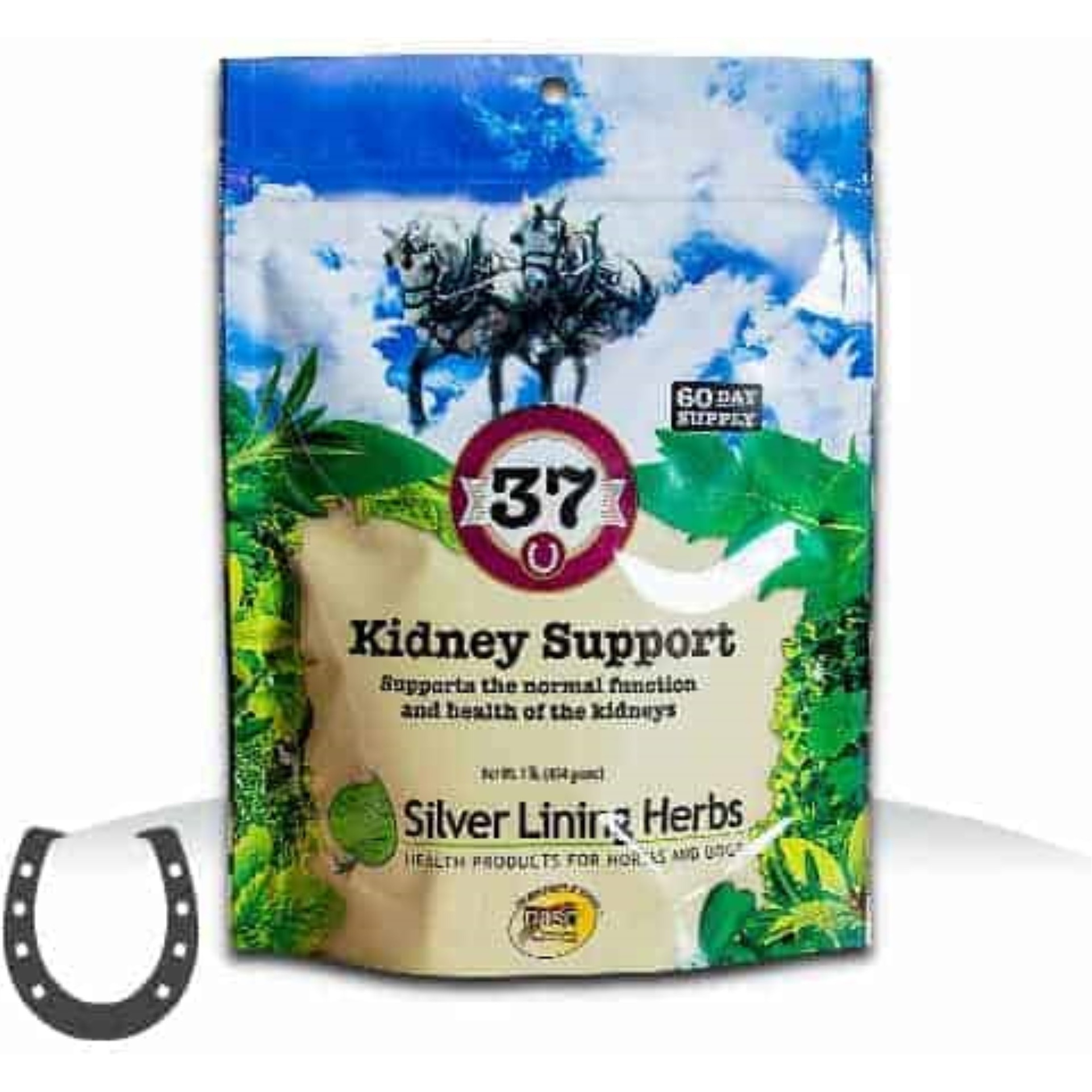 37 Kidney Support