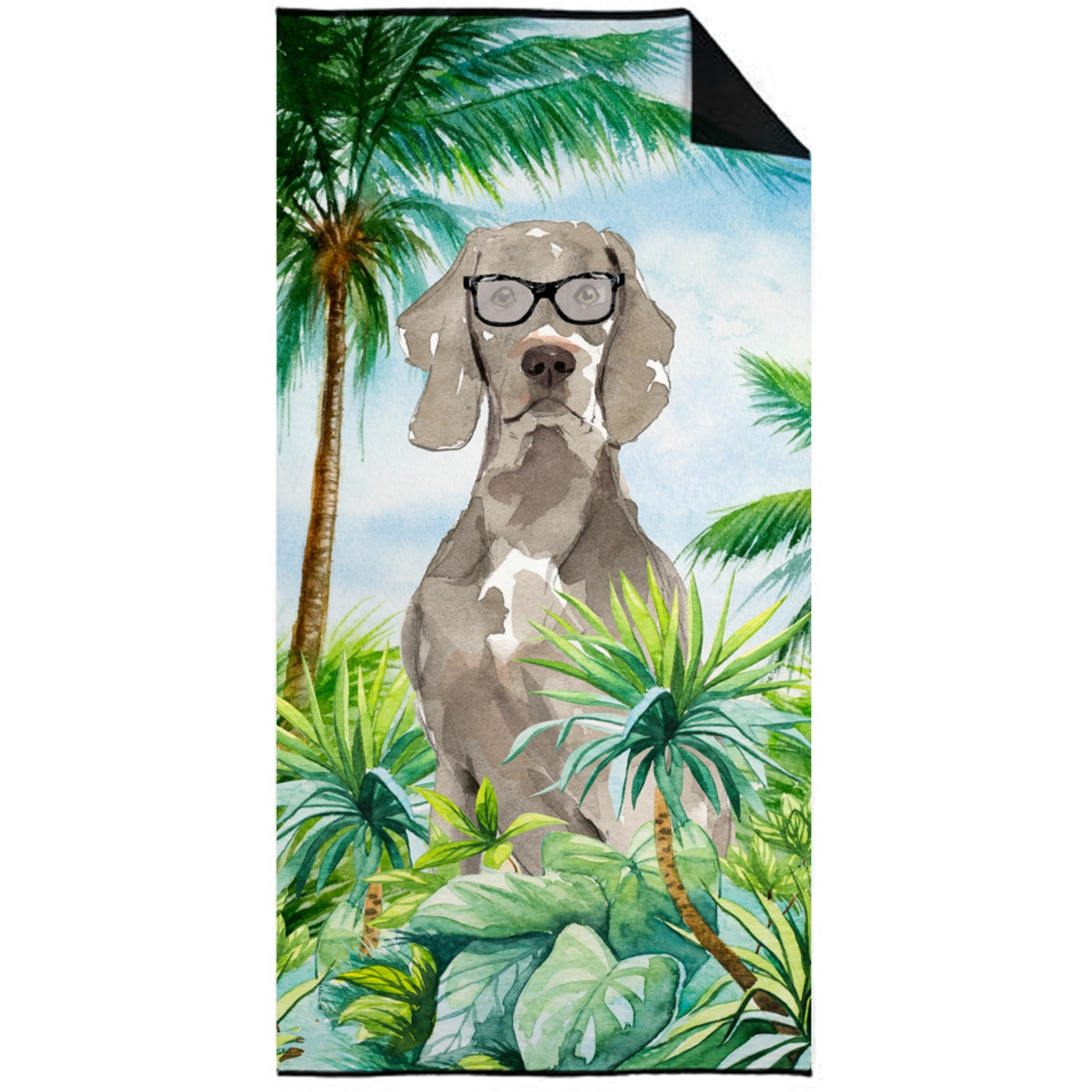 &quotCaroline's Treasures CK2995TWL3060 Weimaraner Premium beach-towels, Multicolor"