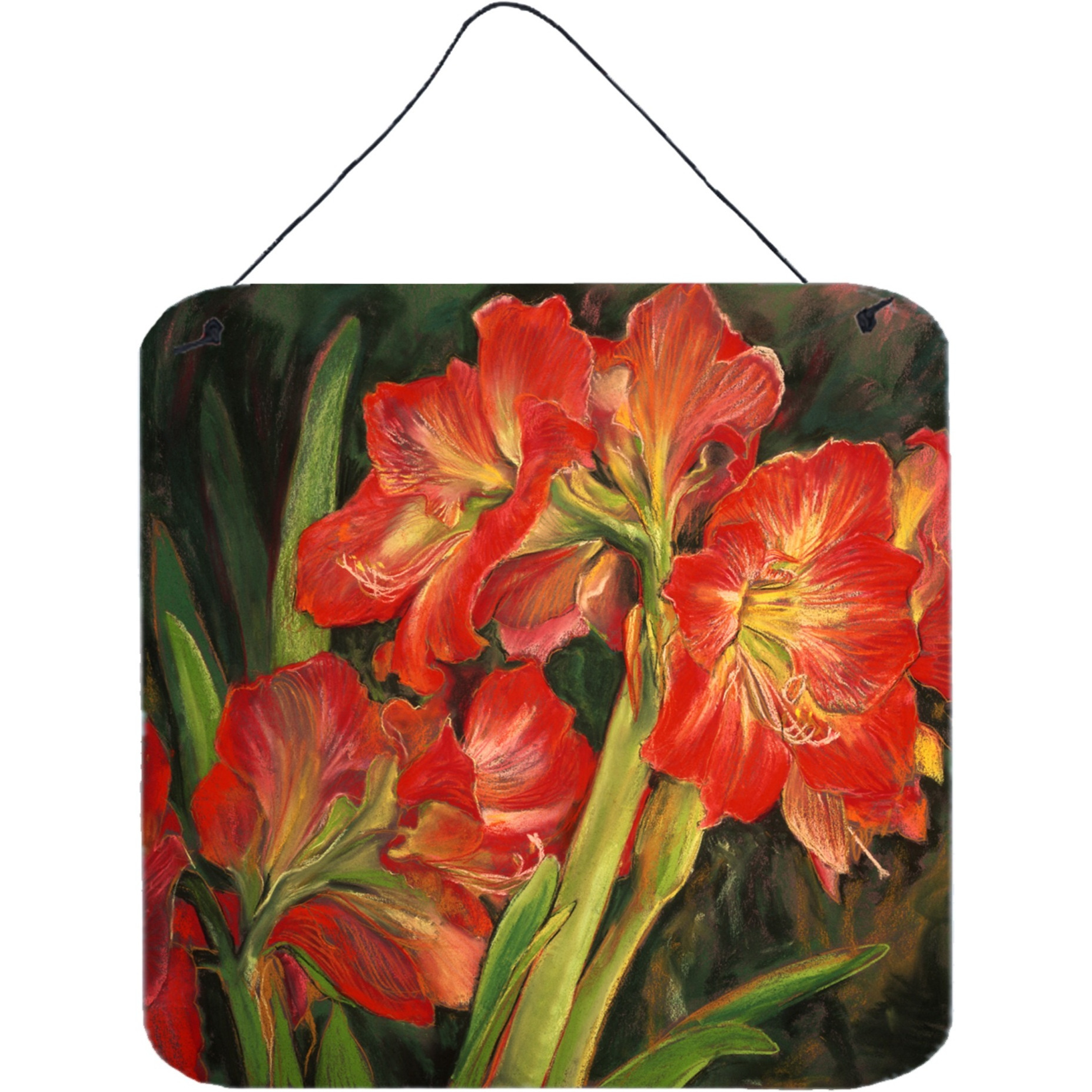 &quotCaroline's Treasures Amaryllis by Neil Drury Wall or Door Hanging Prints DND0091DS66, 6HX6W, Multicolor"