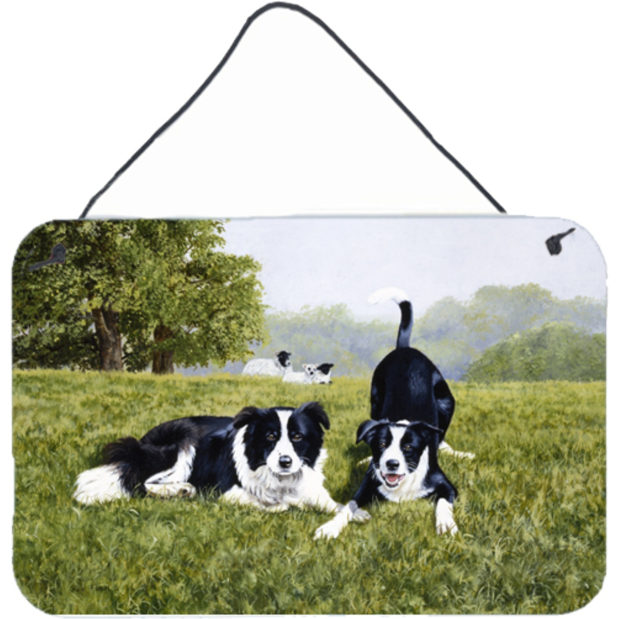 &quotCaroline's Treasures Let's Play Border Collie Wall or Door Hanging Prints FRF0014DS812, 8HX12W, Multicolor"