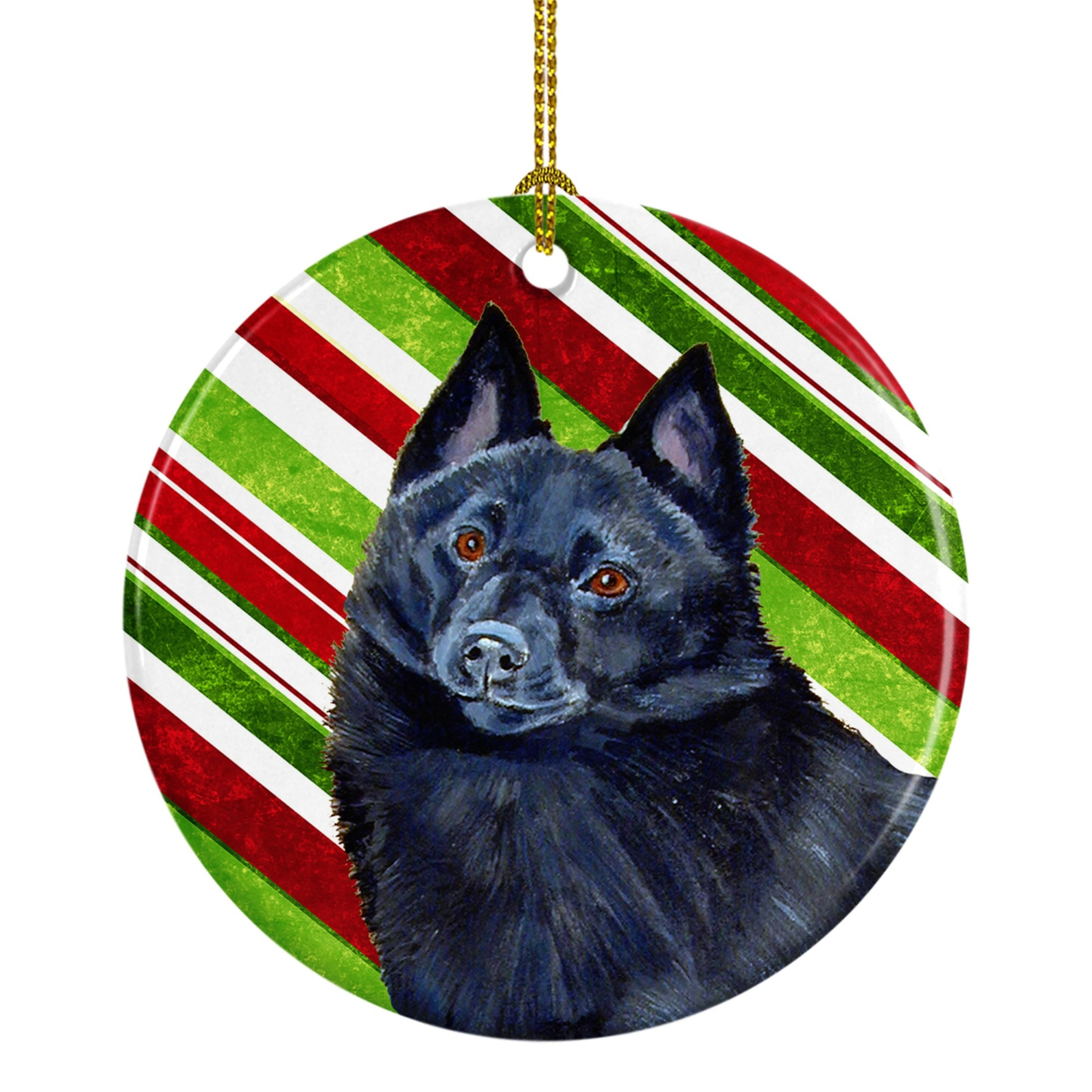 &quotCaroline's Treasures LH9249-CO1 Schipperke Candy Cane Holiday Christmas Ceramic Ornament, Multicolor"