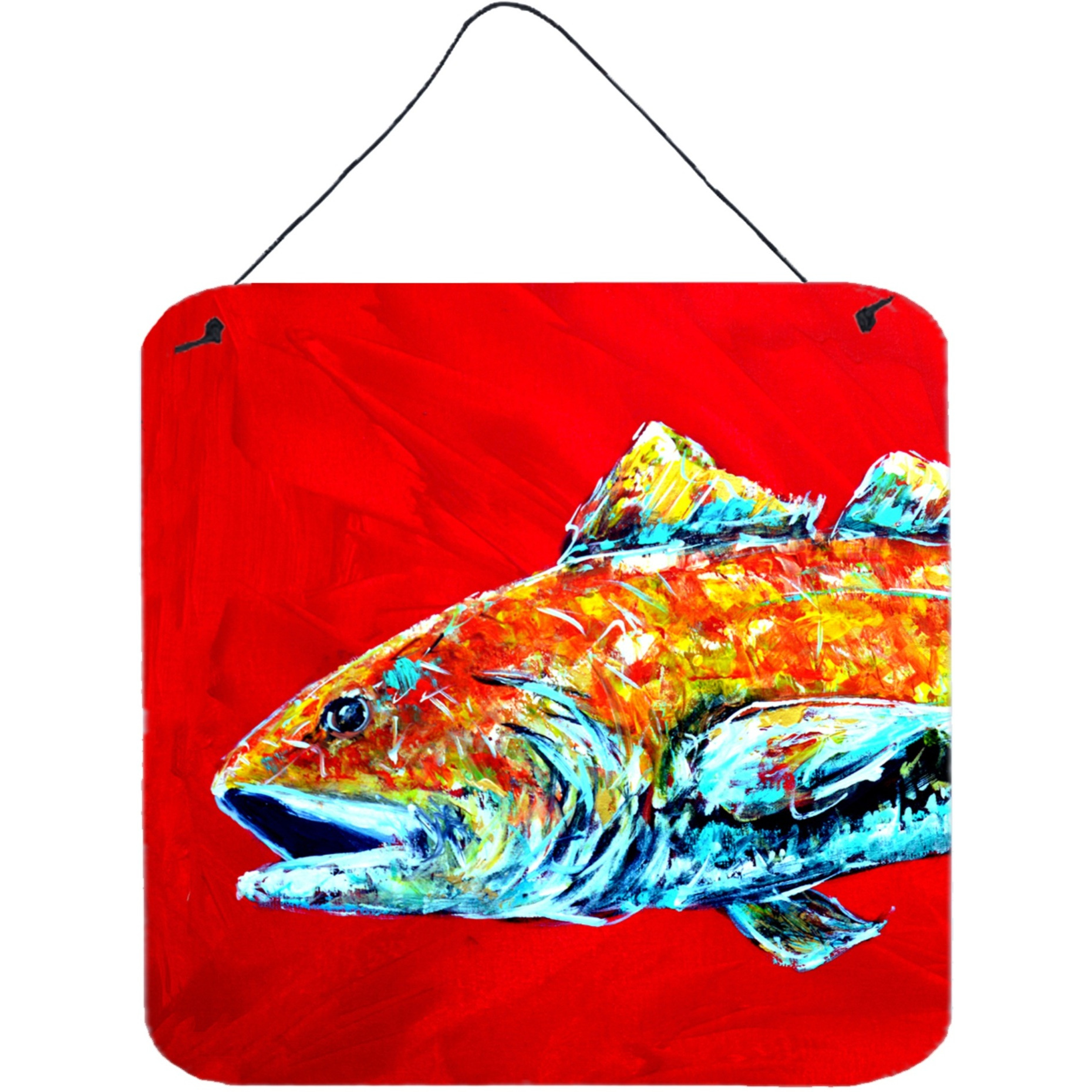 &quotCaroline's Treasures Fish-Red Fish Alphonso Head Aluminum Metal Wall or Door Hanging Prints, 6 x 6"", Multicolor"