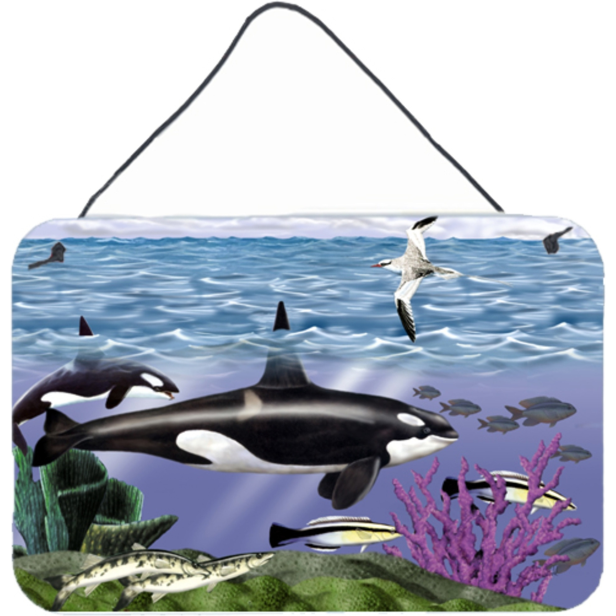 &quotCaroline's Treasures PTW2040DS812 Whale Orcas Wall or Door Hanging Prints, 8 x 12"", Multicolor"