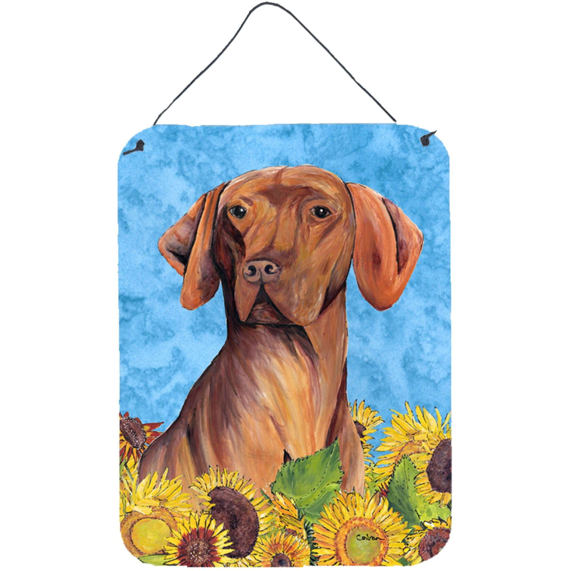 &quotCaroline's Treasures SC9079DS1216 Vizsla Aluminium Metal Wall or Door Hanging Prints, 16"" x 12"", Multicolor"